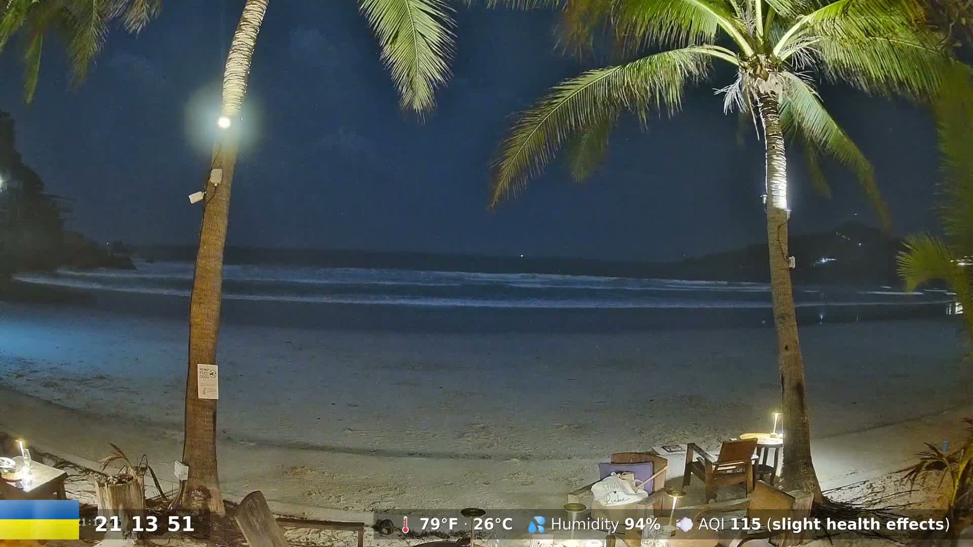 A nighttime beach scene shows gently rolling waves under a dark sky, illuminated by lights near two palm trees on the sand.