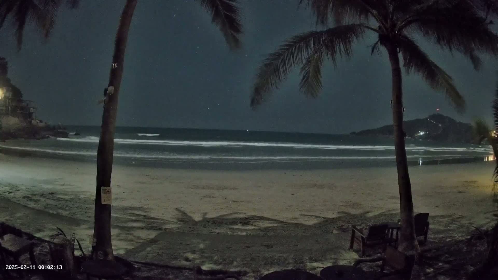 Under a dark night sky, gentle waves lap a sandy beach framed by palm trees, with a distant hill visible across the water.