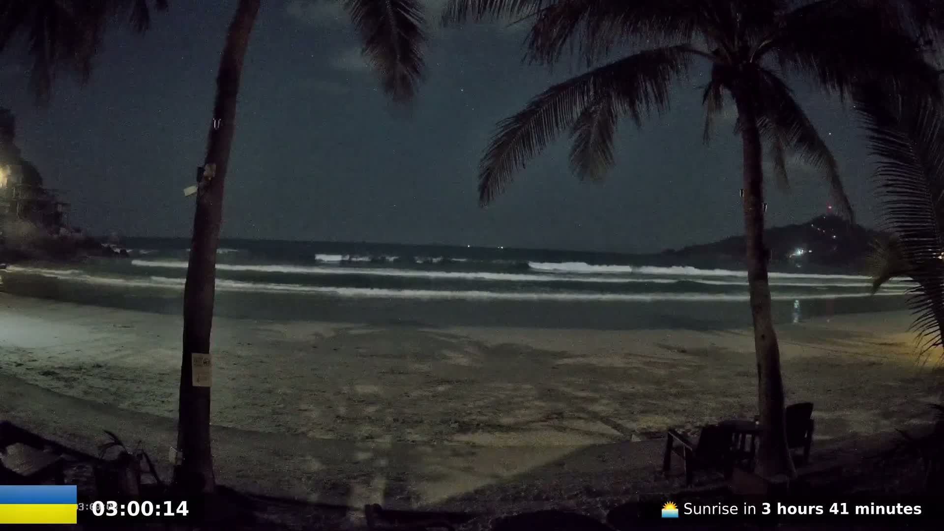 A nighttime view of a sandy beach with gentle waves lapping the shore, partially obscured by palm trees under a dark, starry sky.