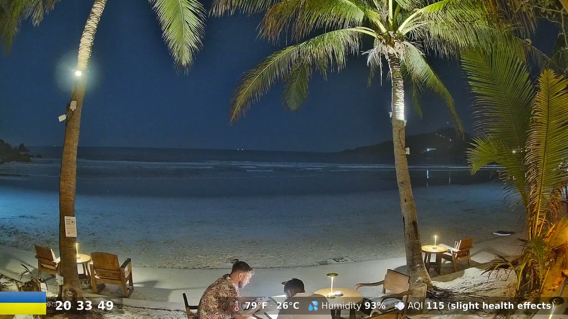 Two people sit at a table on a moonlit beach under palm trees, with gentle waves lapping the shore.