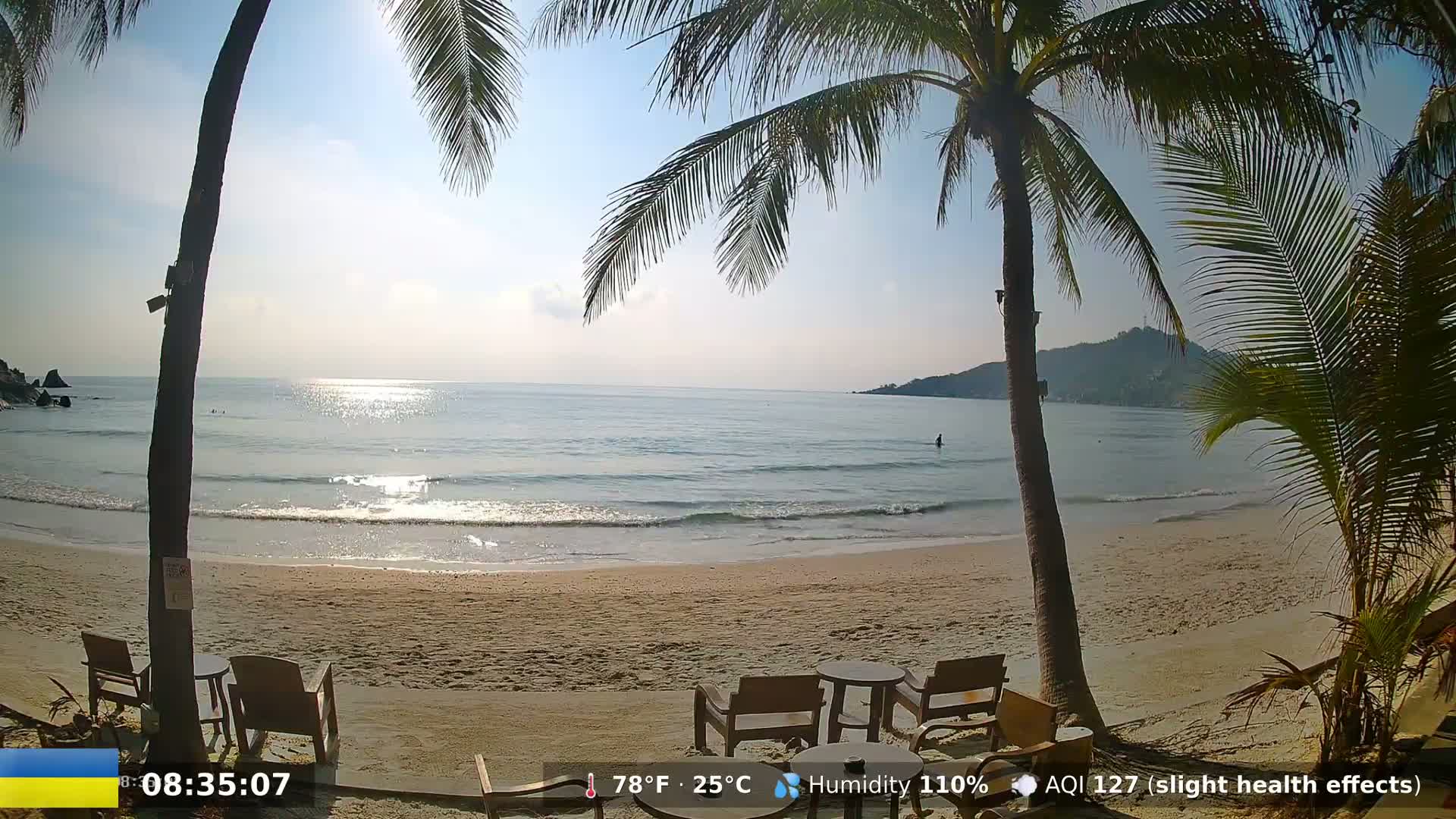 A sandy beach with calm ocean waves and palm trees is visible under sunny skies.
