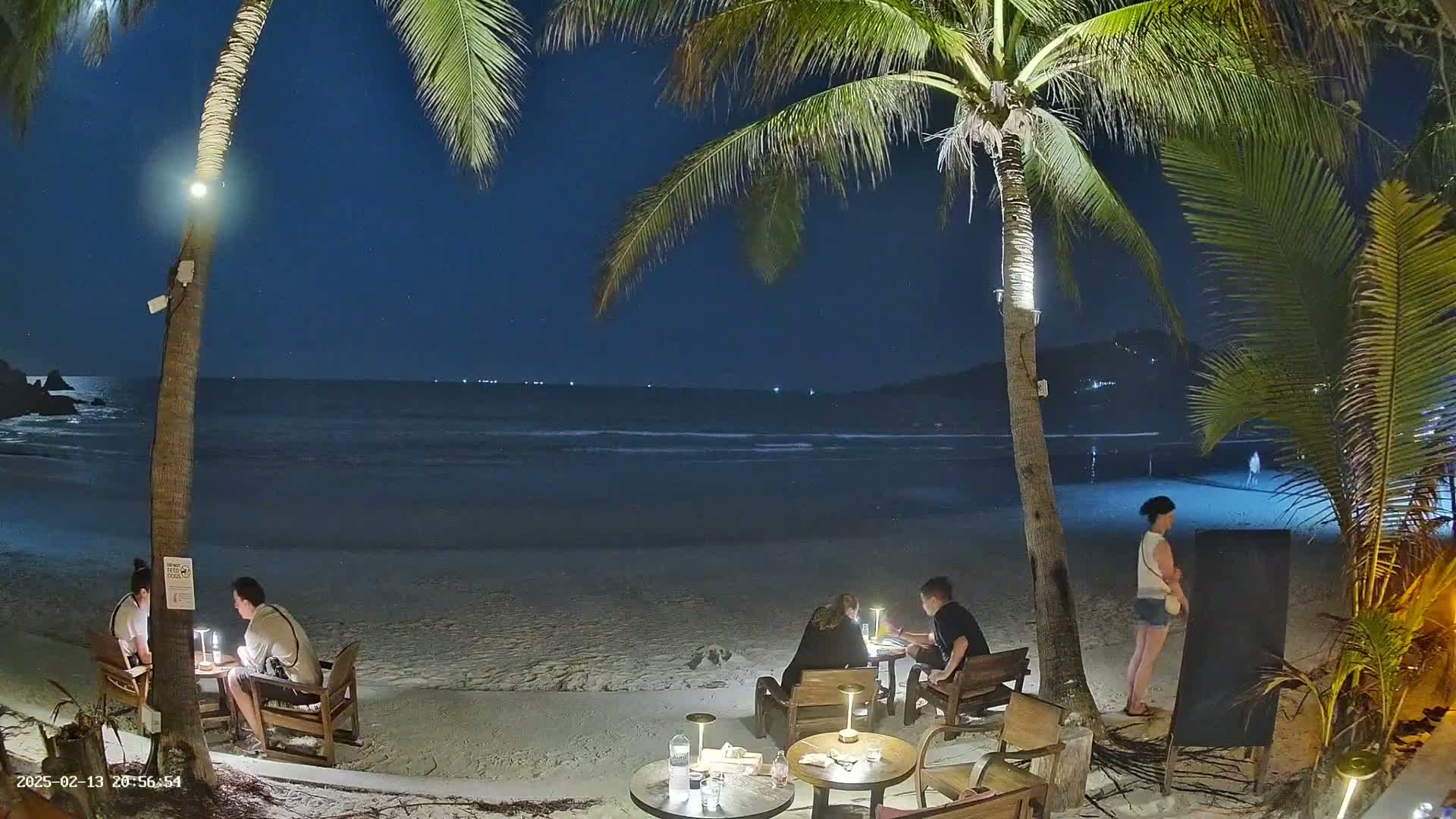 Several people sit at tables on a sandy beach at night under palm trees, overlooking a calm ocean under a starry sky.