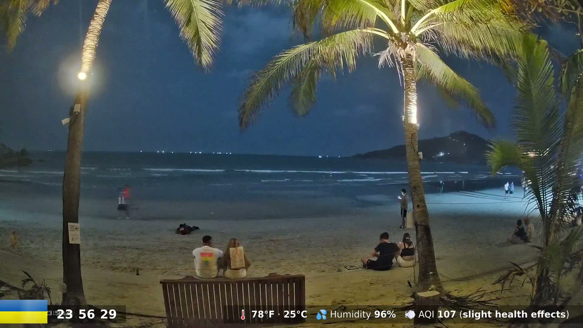 Under a dark, nighttime sky, several people sit on a sandy beach near palm trees and a calm ocean.