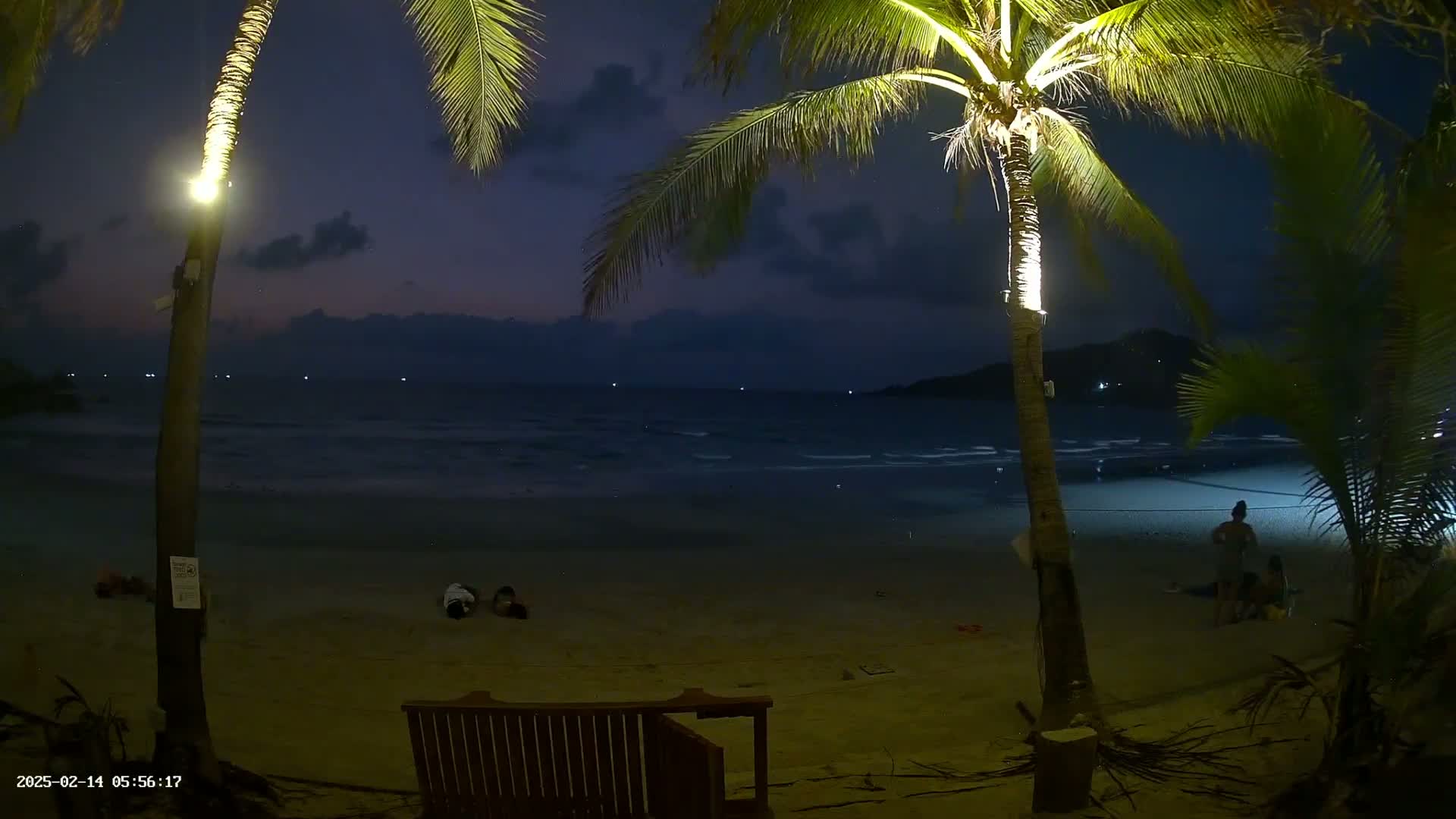 A nighttime beach scene shows a sandy shore with several people sitting and lying down, palm trees illuminated with lights, and a calm ocean under a dark, cloudy sky.