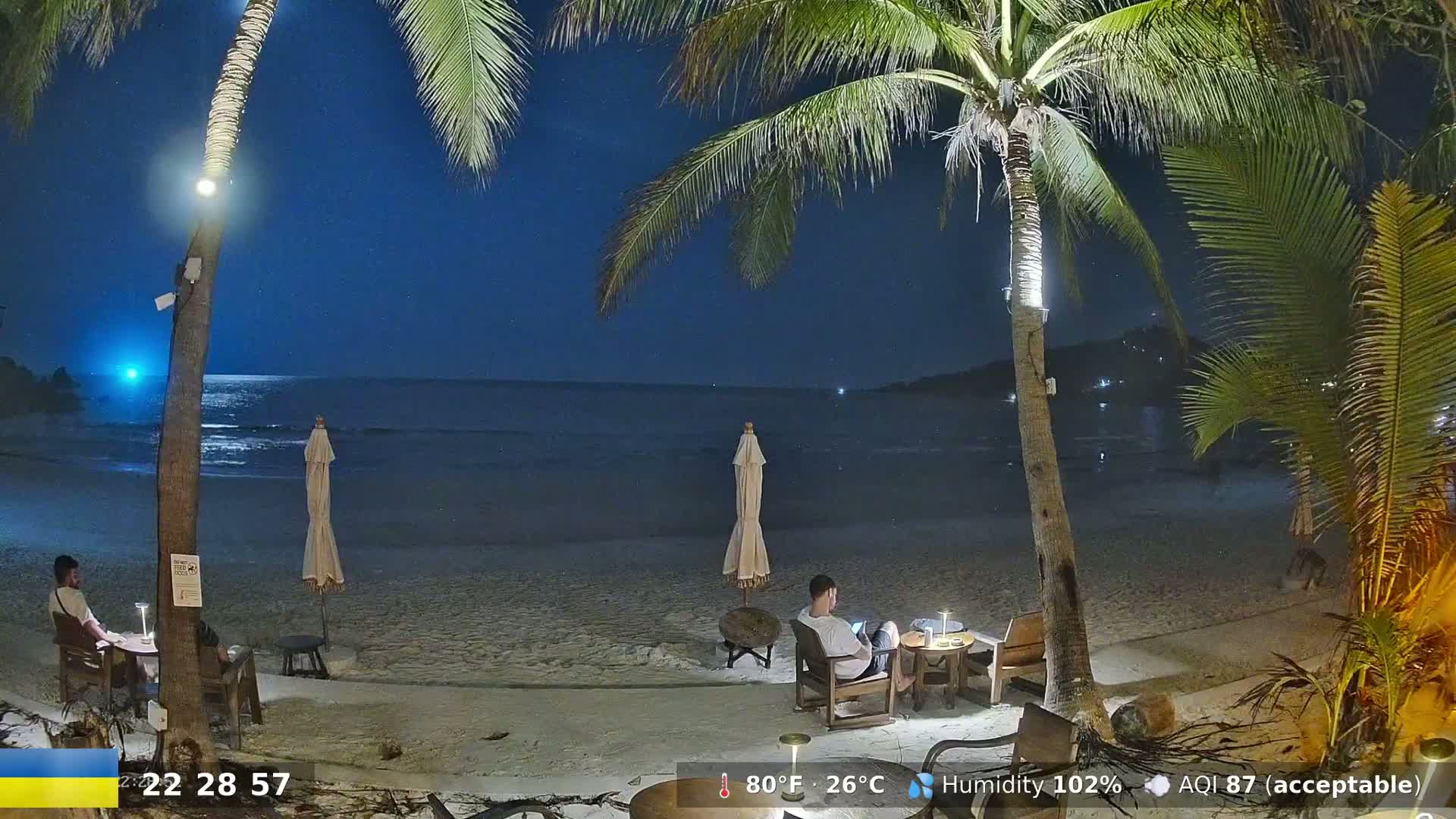 Two people sit at separate tables on a sandy beach at night under palm trees, with a calm ocean in the background under a starry sky.