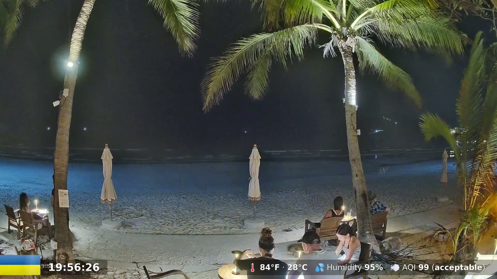 A nighttime beach scene shows several people seated at outdoor tables under palm trees, with calm ocean waves lapping the shore under a clear, starry sky.