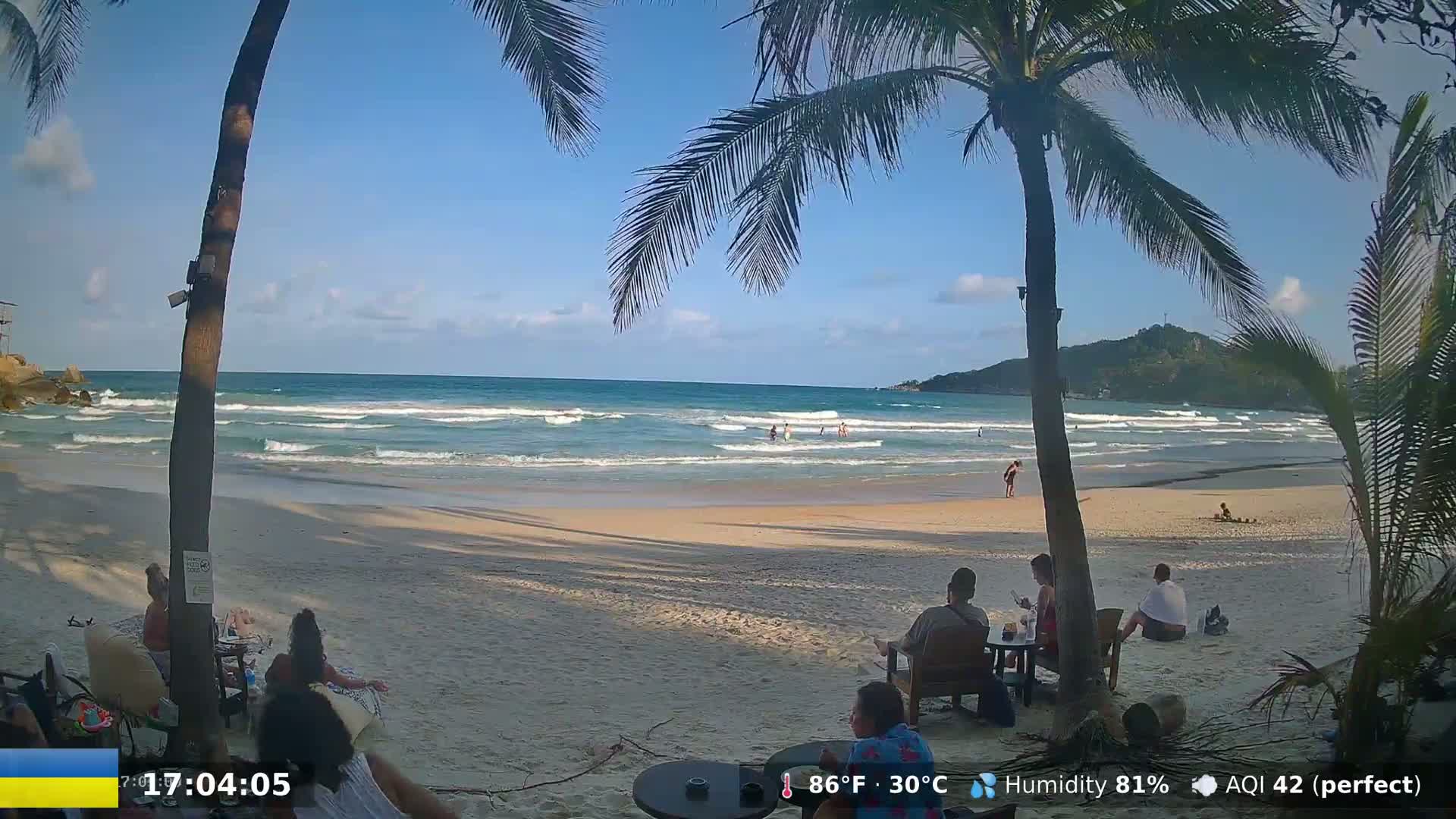 A sunny beach scene with palm trees framing a view of a sandy shore, gentle waves, and people relaxing near beachside seating.