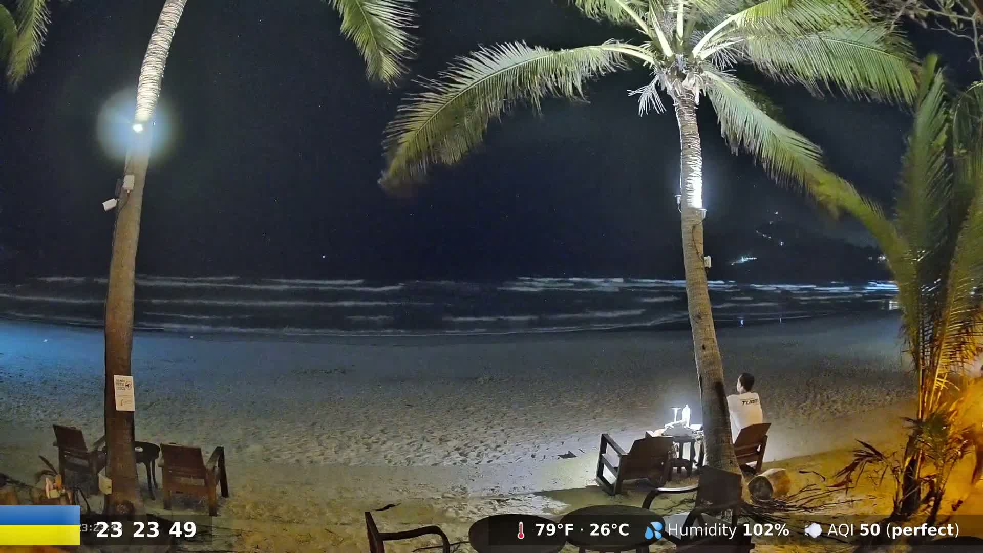 A person sits at a table on a sandy beach at night under palm trees, overlooking gently waving ocean water under a clear, starry sky.