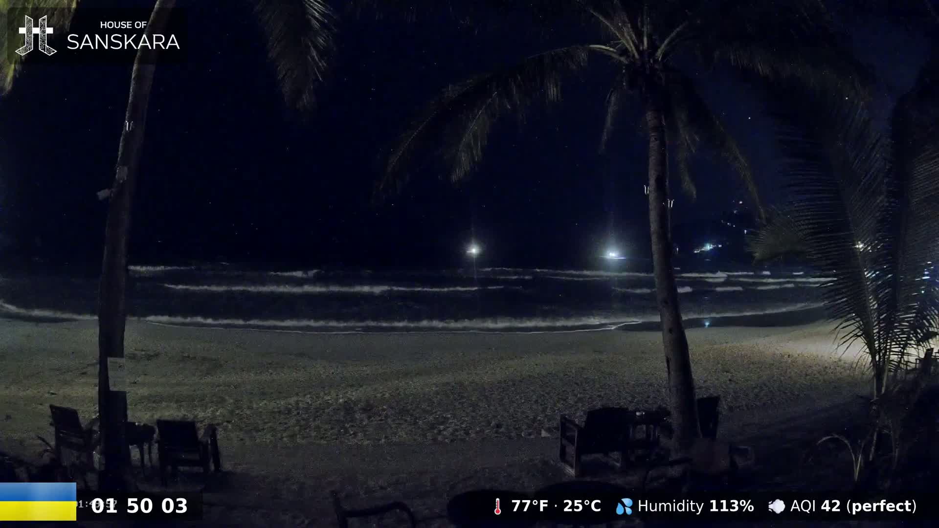 Under a clear, starry night sky, gentle waves lap a dark sandy beach, partially obscured by palm trees.