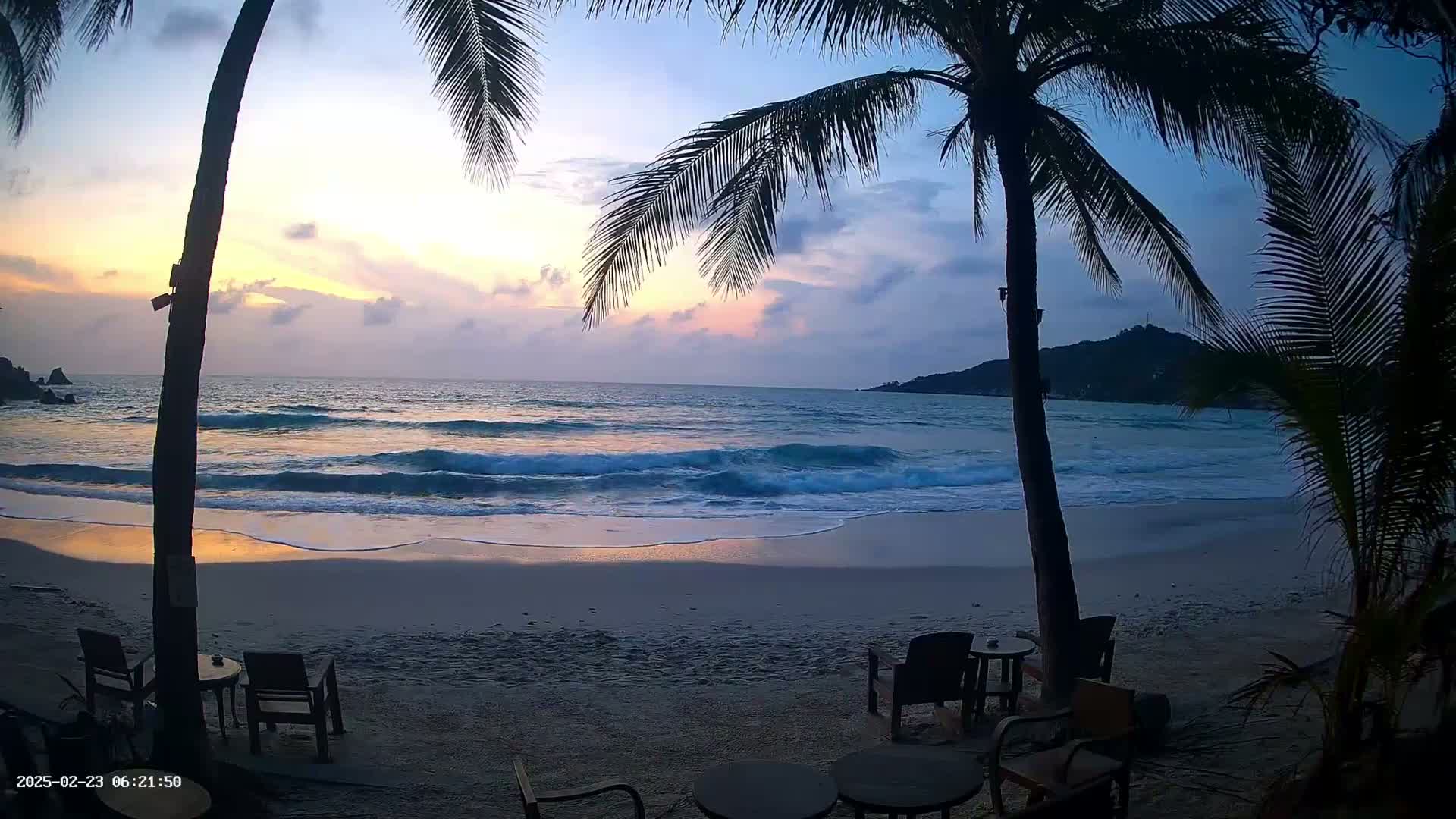 A sandy beach at sunset, with gentle waves lapping the shore, viewed through the fronds of palm trees.