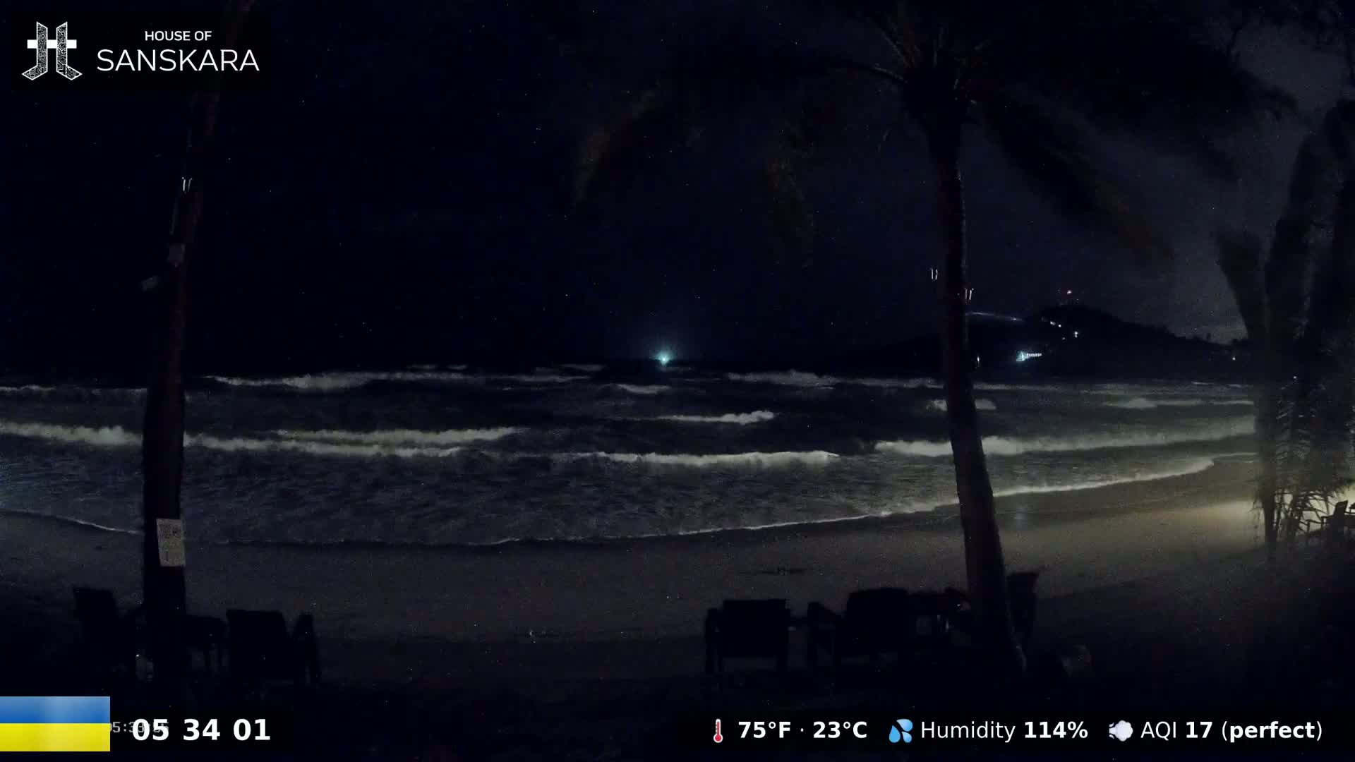 Waves crash on a dark beach at night under a starry sky, with palm trees silhouetted in the foreground.