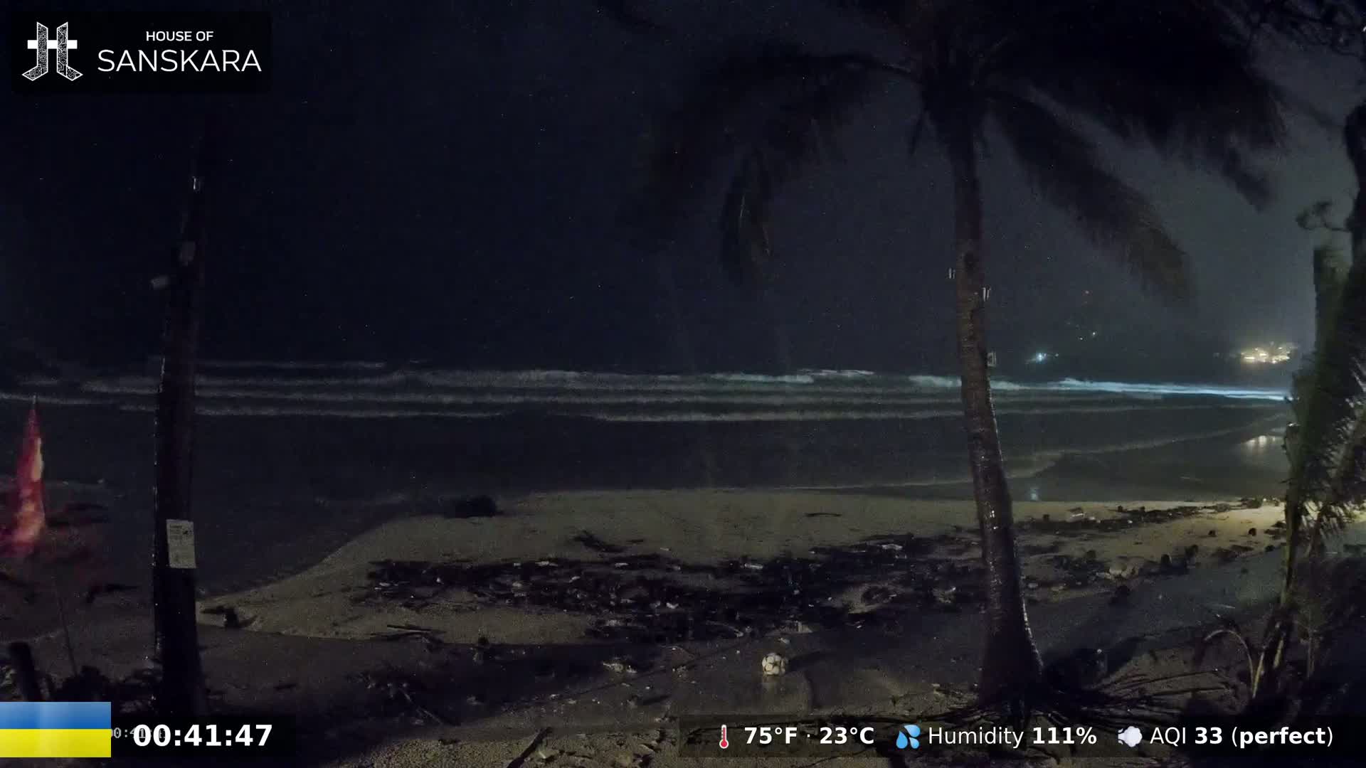 A nighttime beach scene with gentle waves, palm trees in the foreground, and debris scattered on the sand under a dark, clear sky.
