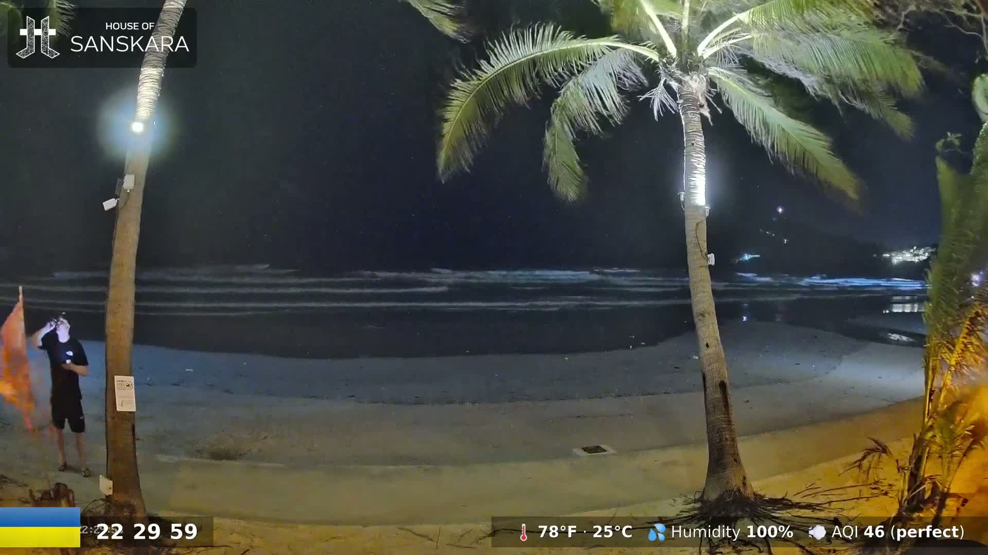 A person stands near two palm trees on a beach at night, under a humid sky with calm ocean waves.