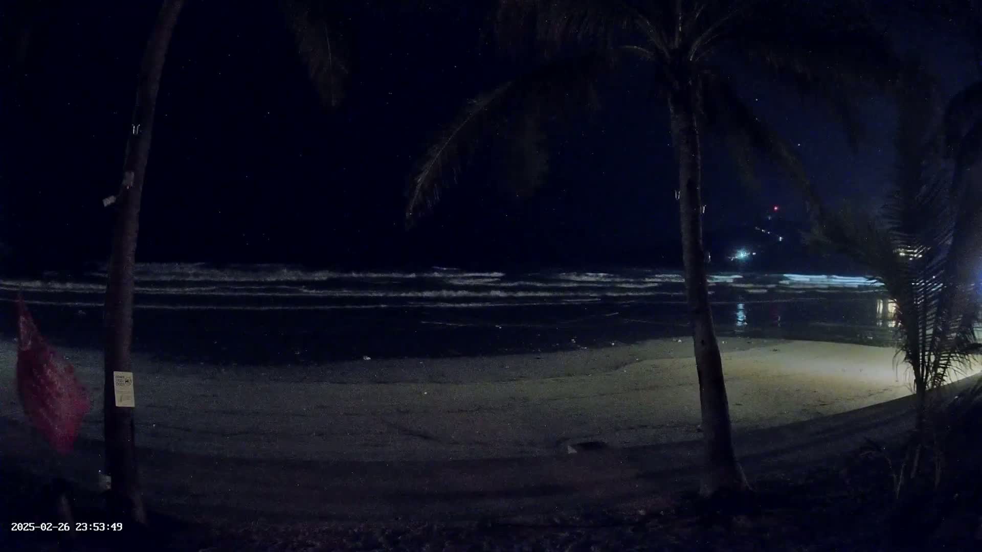 A nighttime beach scene shows gently rolling waves under a starry sky, framed by two palm trees.