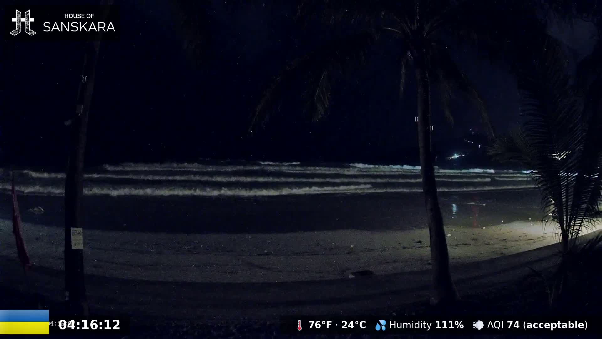 A dark night scene shows gentle waves lapping a sandy beach under a clear, starlit sky, partially obscured by palm trees.