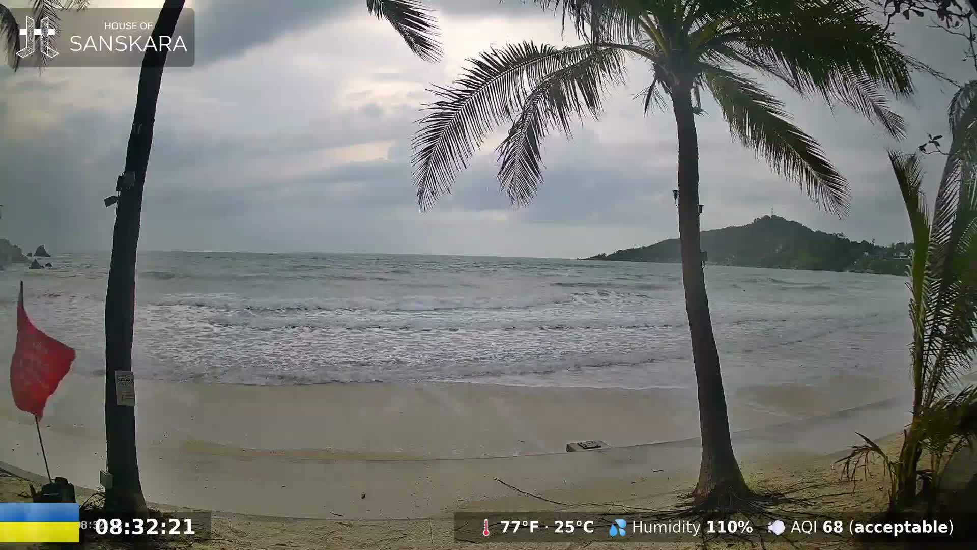 A beach scene under an overcast sky shows moderate waves lapping a sandy shore, framed by palm trees.
