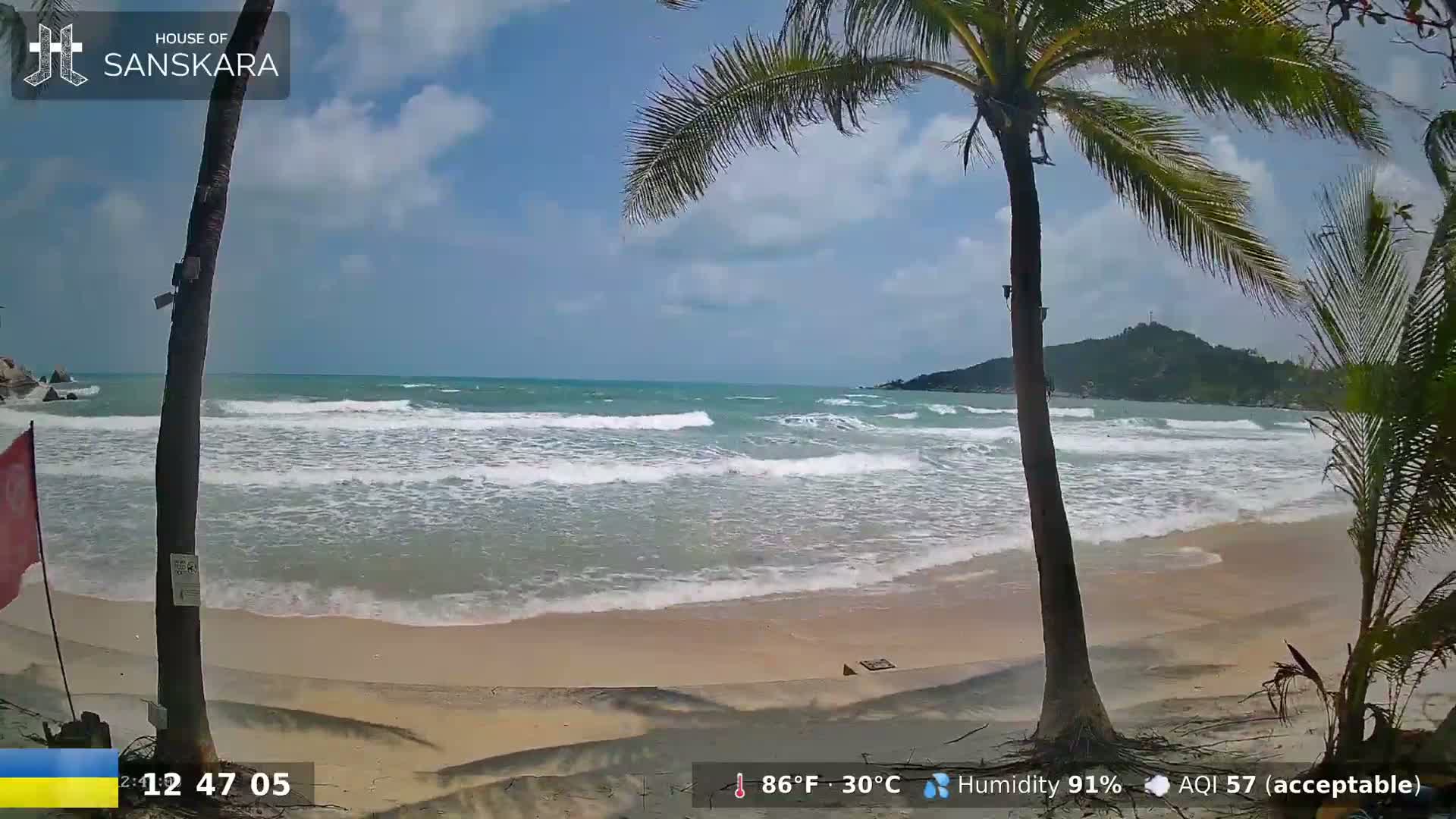 A sandy beach with palm trees in the foreground and a partly cloudy sky over a gently wavy ocean.