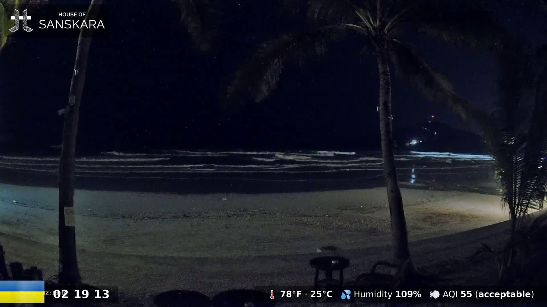 A nighttime beach scene shows gentle waves lapping a sandy shore under a clear, starry sky, with palm trees silhouetted in the foreground.