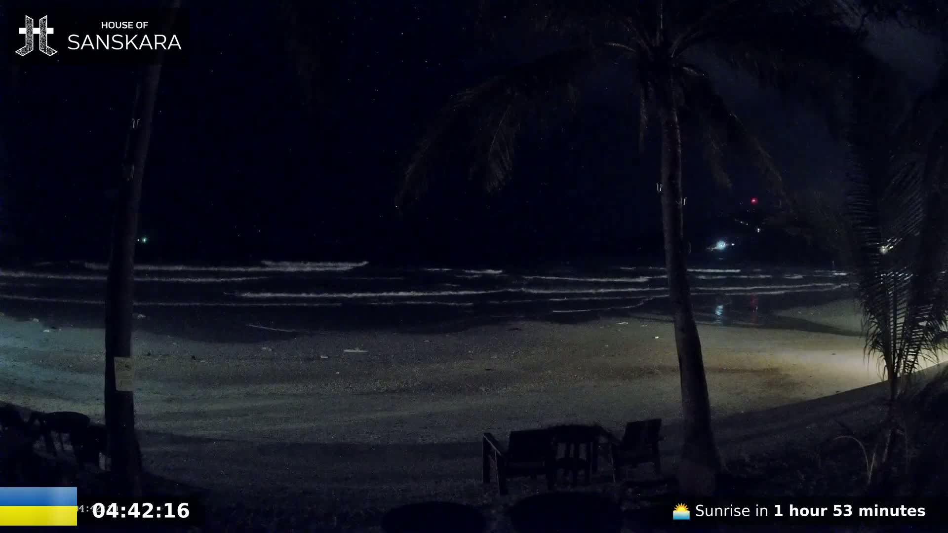 A dark, sandy beach at night with gentle waves lapping the shore, viewed from behind palm trees under a starry sky.