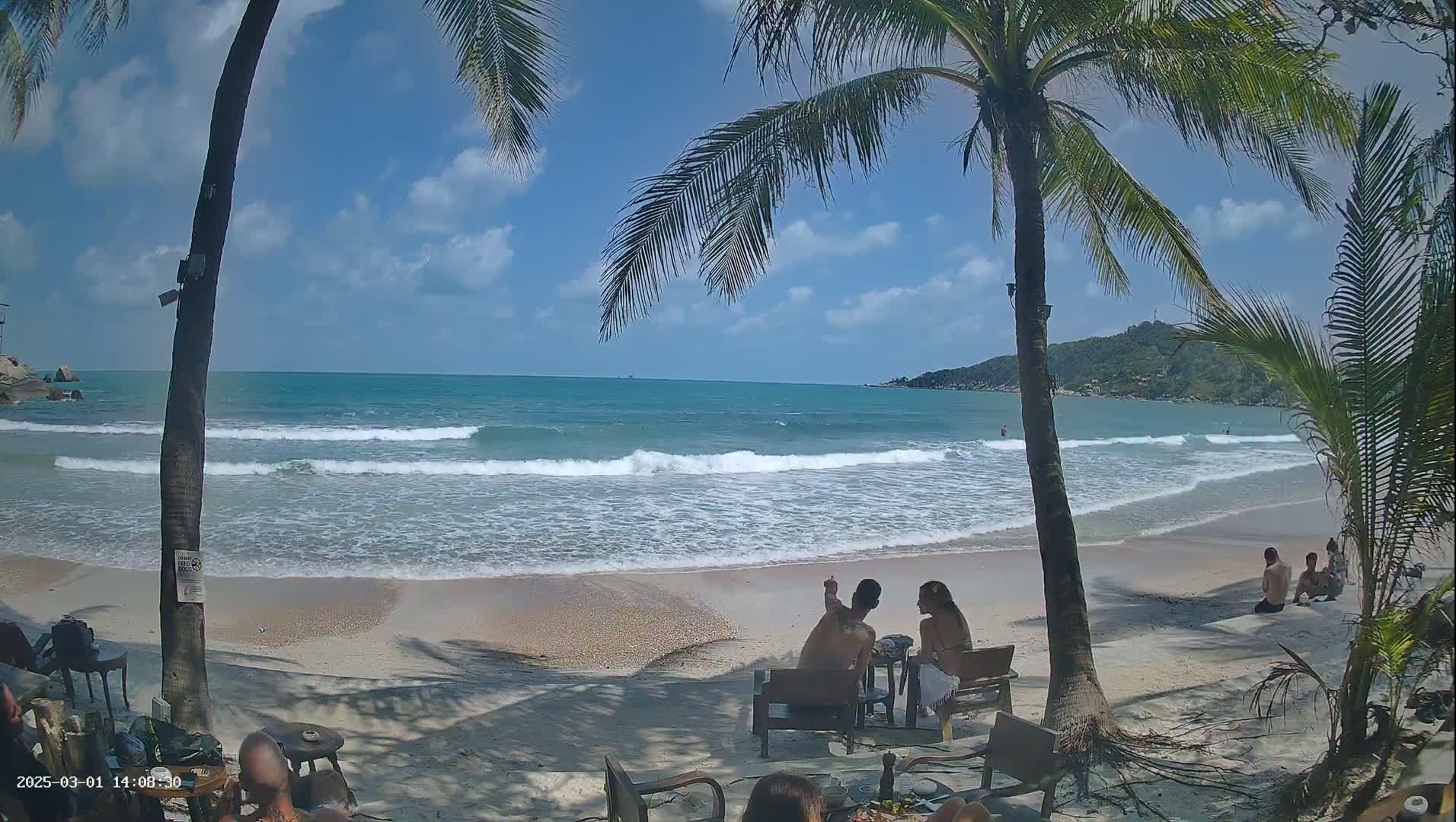 A sandy beach with gentle waves under a partly sunny sky, palm trees framing the view of people relaxing on the shore.