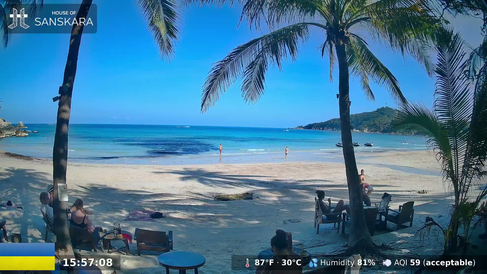 A sunny beach scene shows palm trees partially obscuring the view of a tranquil ocean and sandy shore with several people relaxing on beach chairs and in the water.
