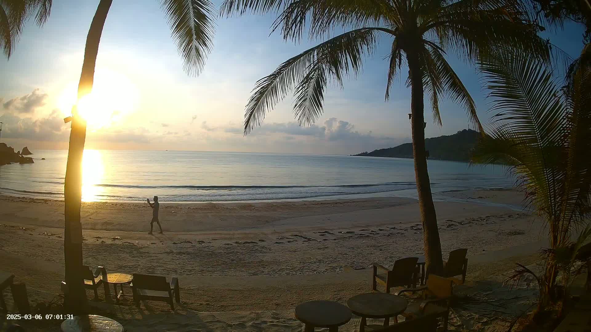 A person stands on a sandy beach at sunrise, palm trees framing the view of calm ocean waters.