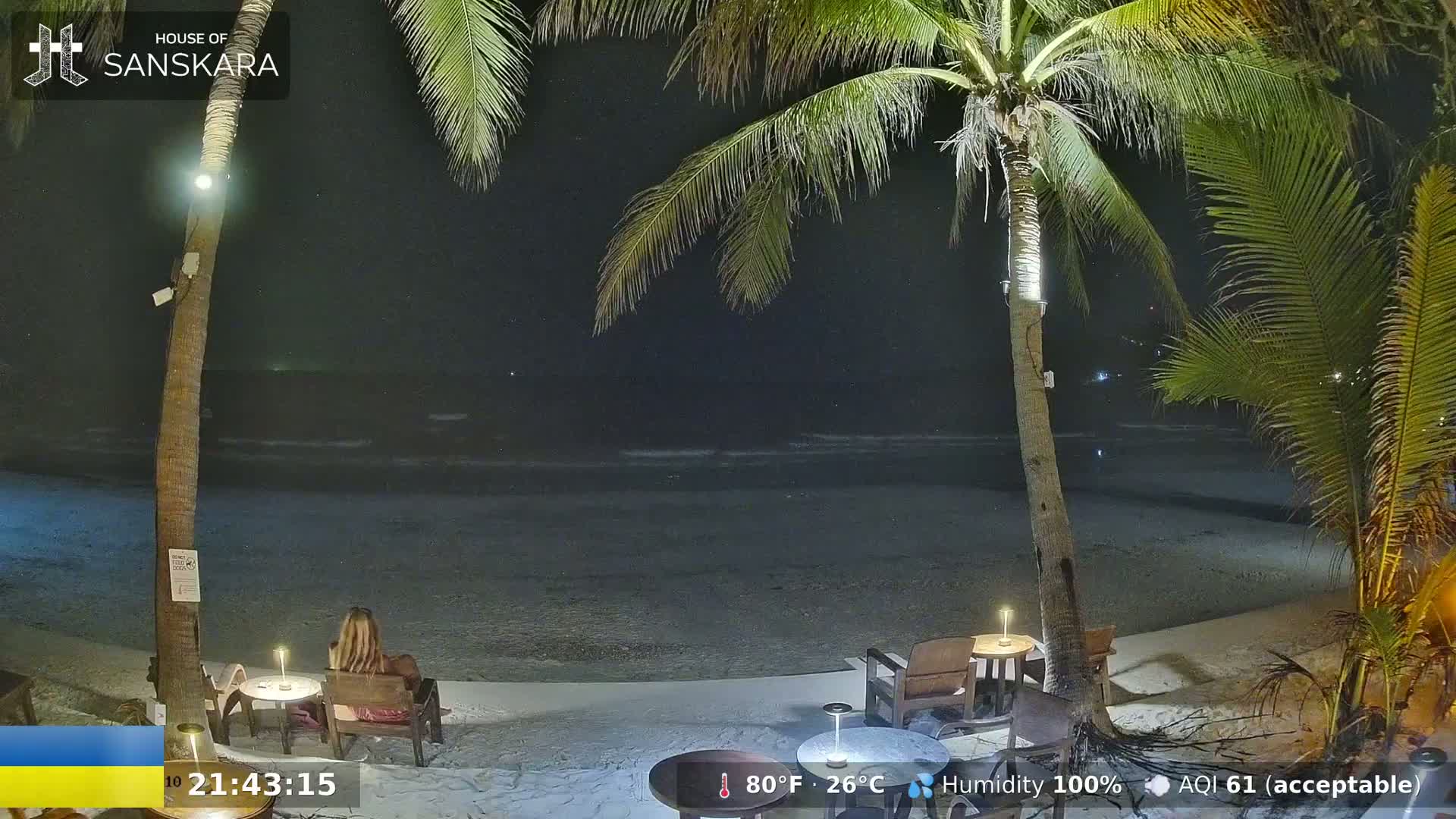 A nighttime beach scene shows a woman sitting at an outdoor table under palm trees, with calm waves lapping the shore under a clear, dark sky.