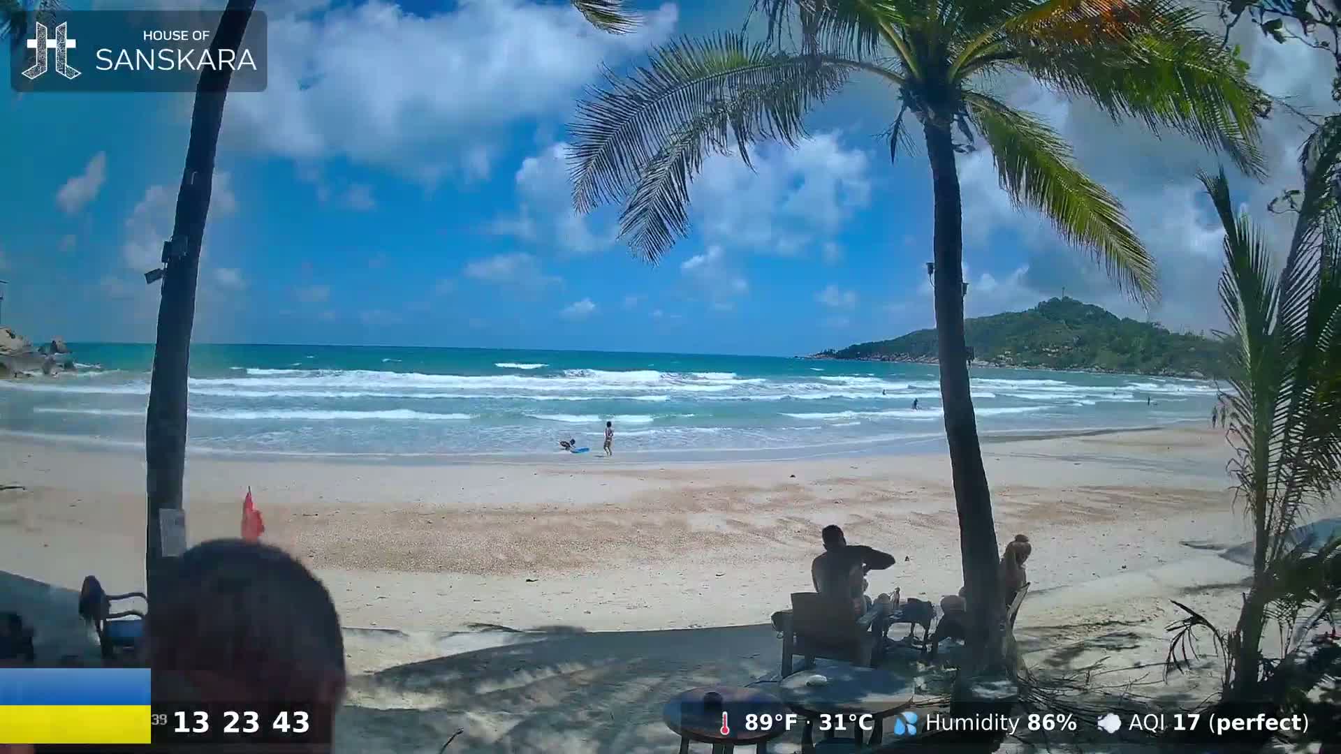 A sunny beach scene shows a sandy shore with light waves lapping, palm trees in the foreground, and people relaxing near the water's edge.