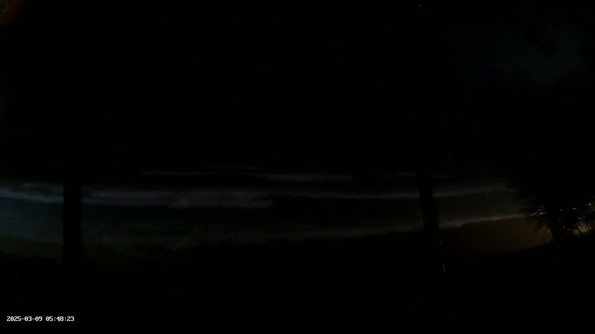 A dark nighttime scene shows gently rolling waves on the ocean, partially obscured by silhouetted vegetation.