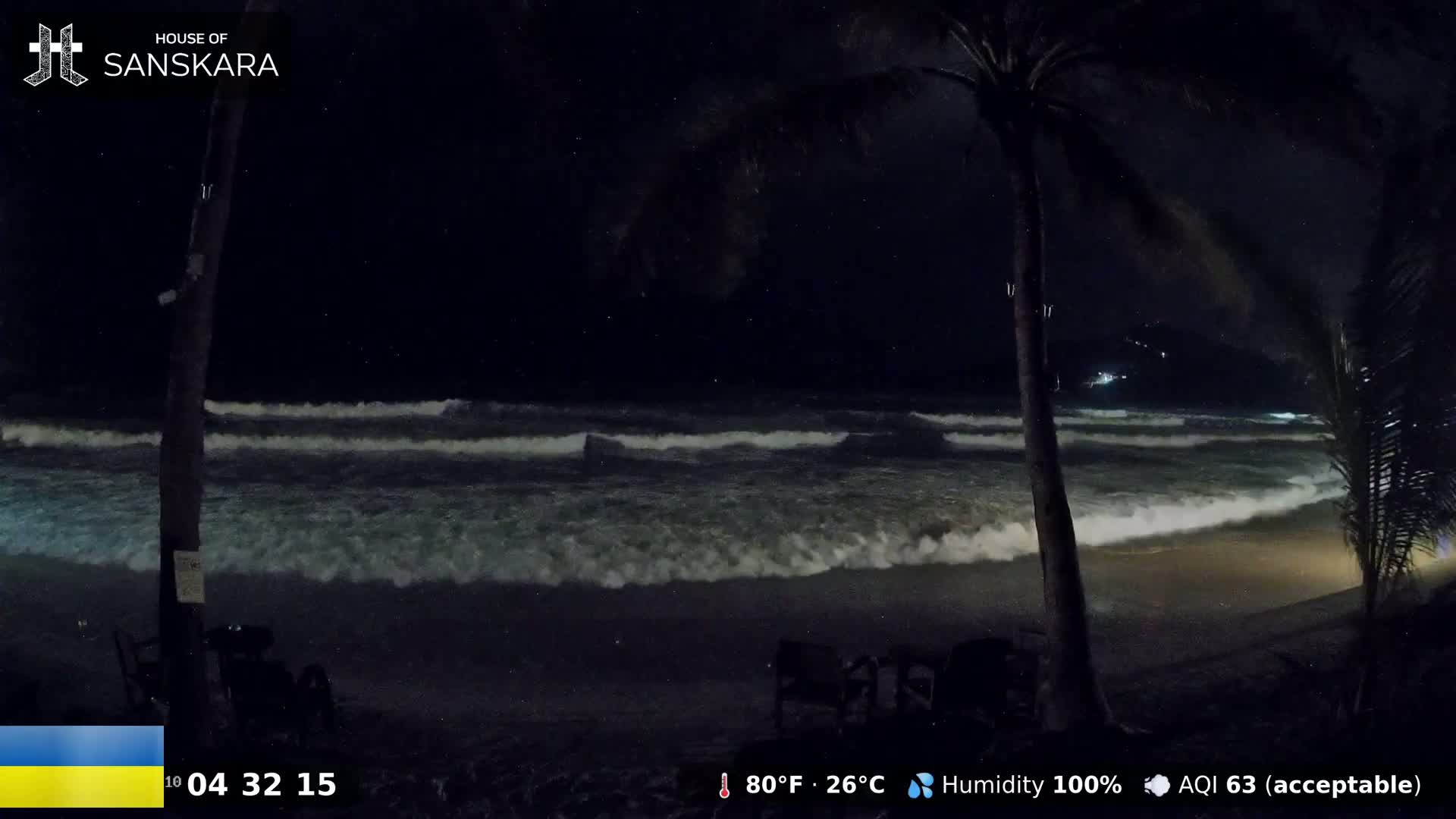 Under a dark, nighttime sky, moderate waves crash on a beach lined with palm trees.