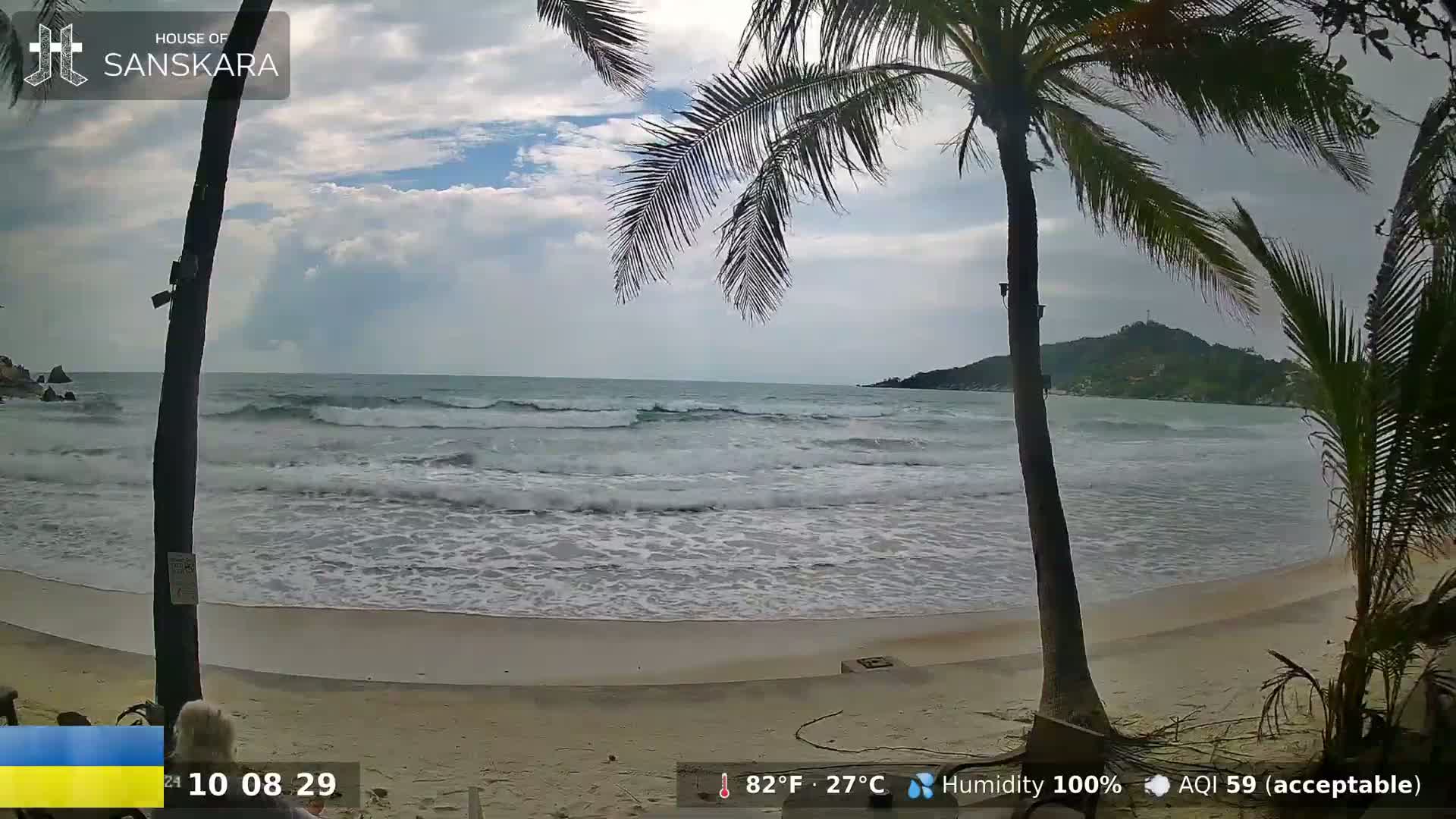 A sandy beach with moderate waves under a partly cloudy sky is seen from behind two palm trees.