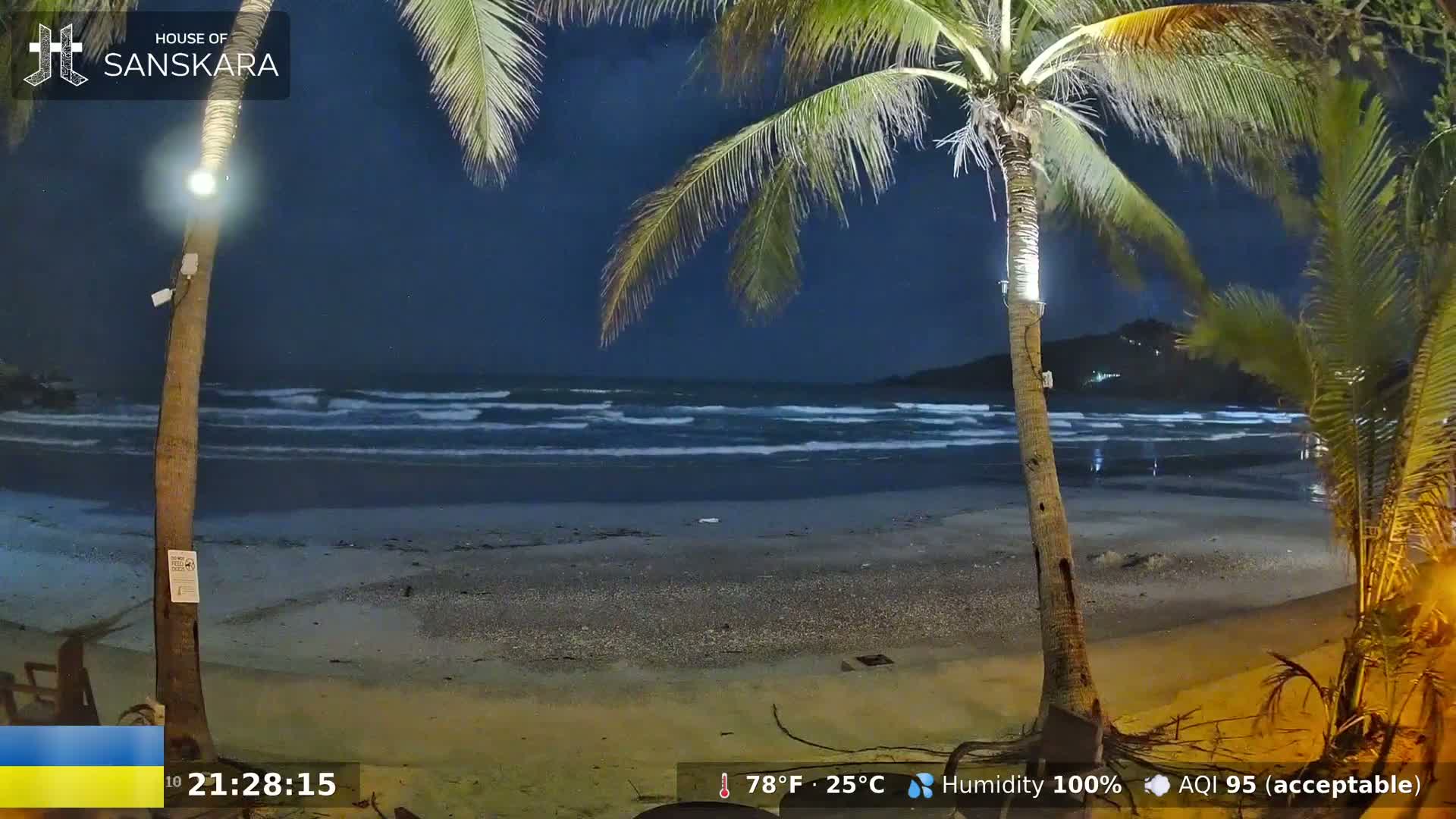 A night-time beach scene shows gently lapping waves under a dark, clear sky, with two palm trees in the foreground and a sandy shore.