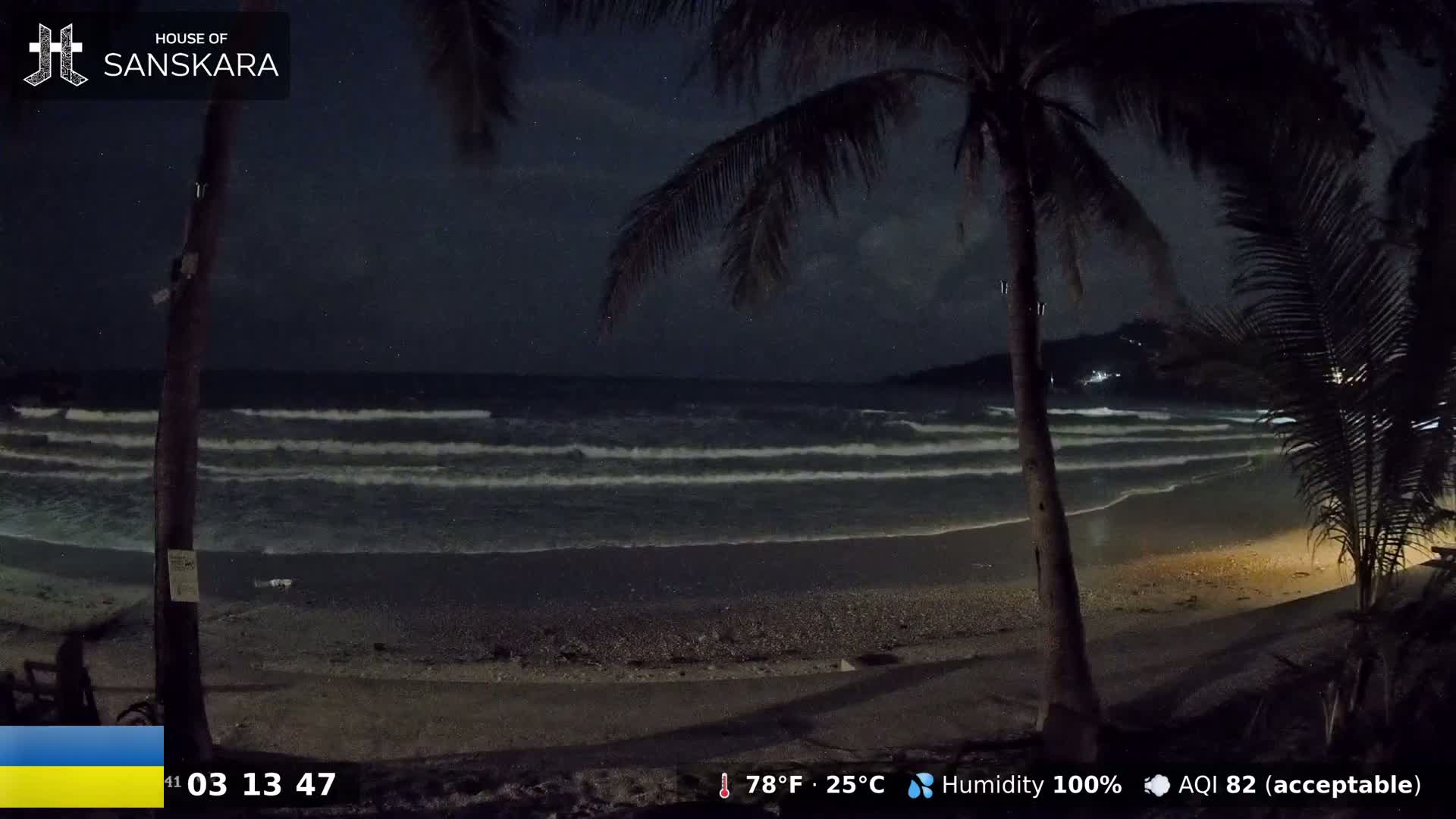 A dark beach at night with gentle waves lapping the shore, under a starry sky partially obscured by palm trees.