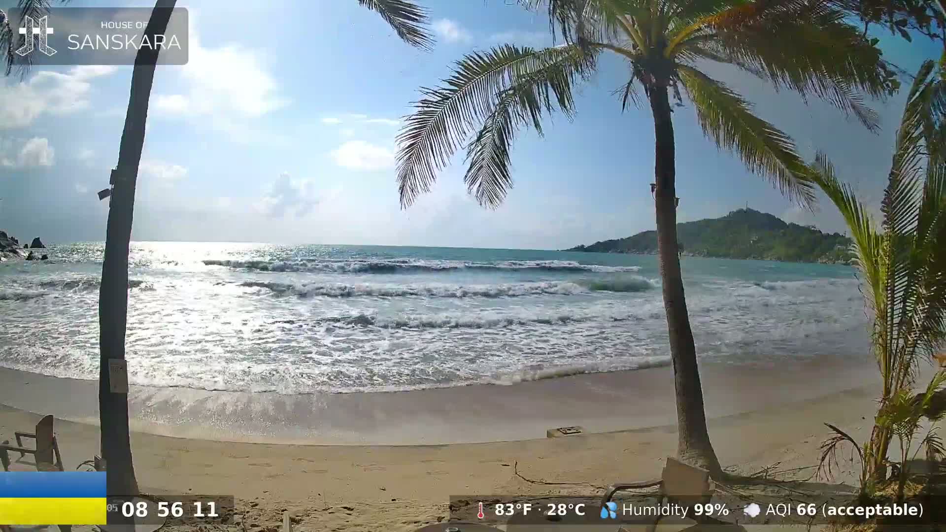 A sandy beach with moderate waves under a sunny sky is partially obscured by palm trees.