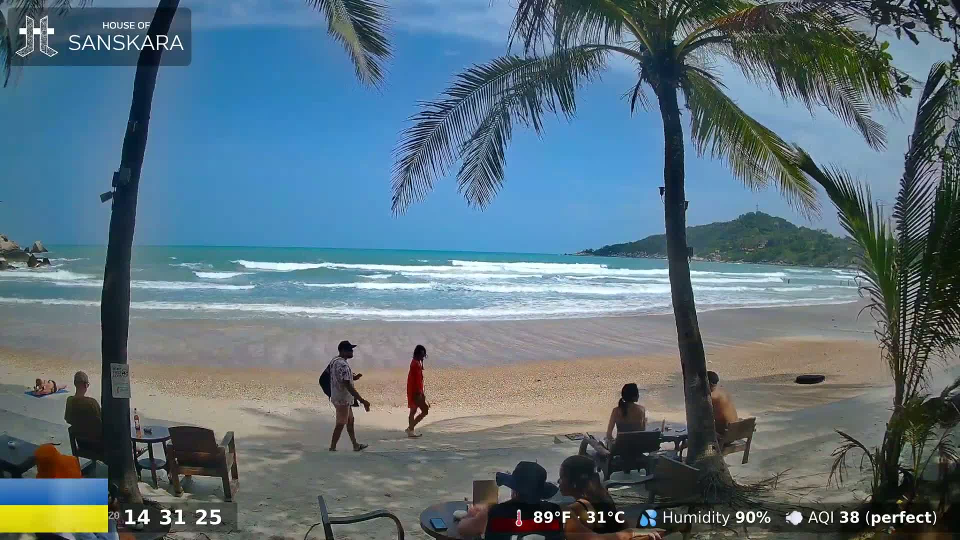 A sandy beach with gentle waves under a clear blue sky is partially viewed through palm trees, with several people relaxing and walking on the sand.