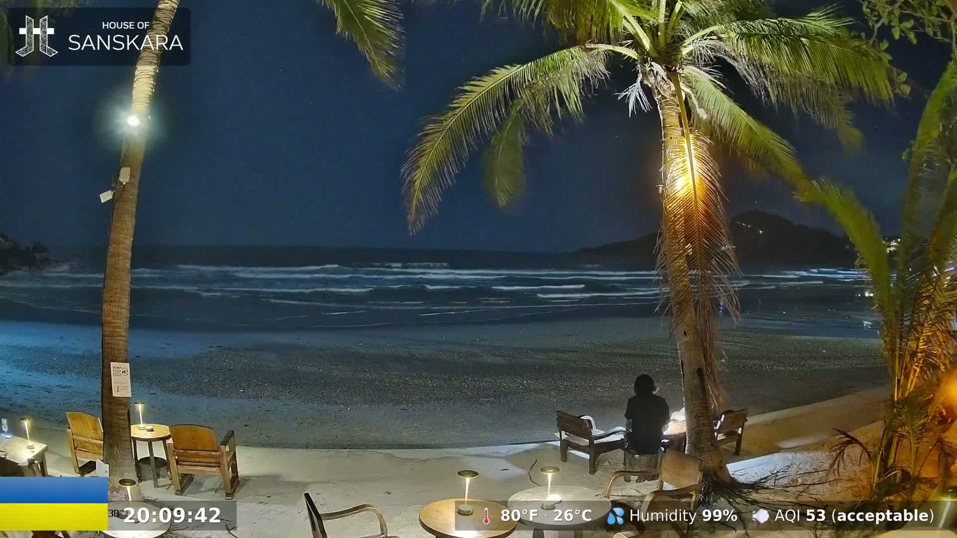 A person sits at an outdoor table on a dark beach at night under palm trees, with gentle waves visible in the ocean.