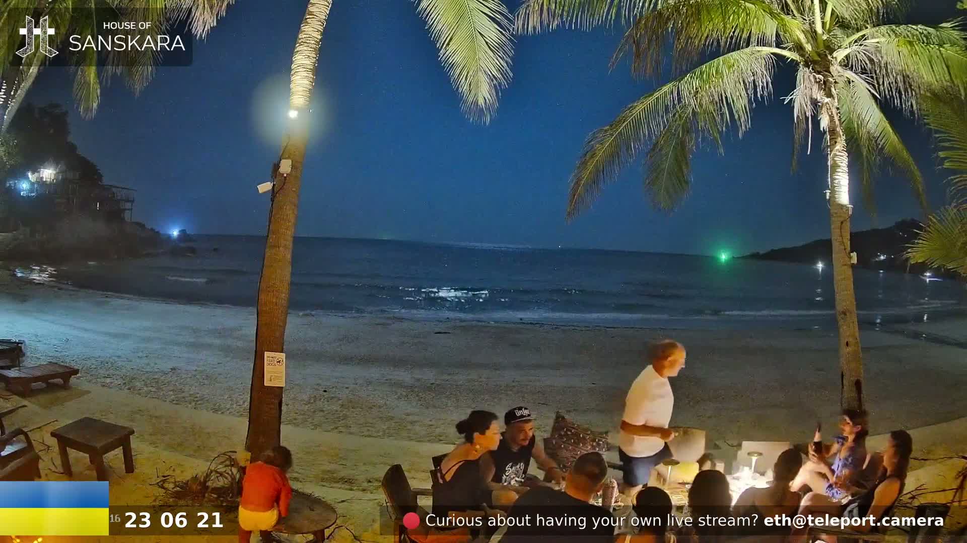 A group of people are sitting around a table on a sandy beach at night under a clear, dark sky, with palm trees in the foreground and a calm ocean in the background.