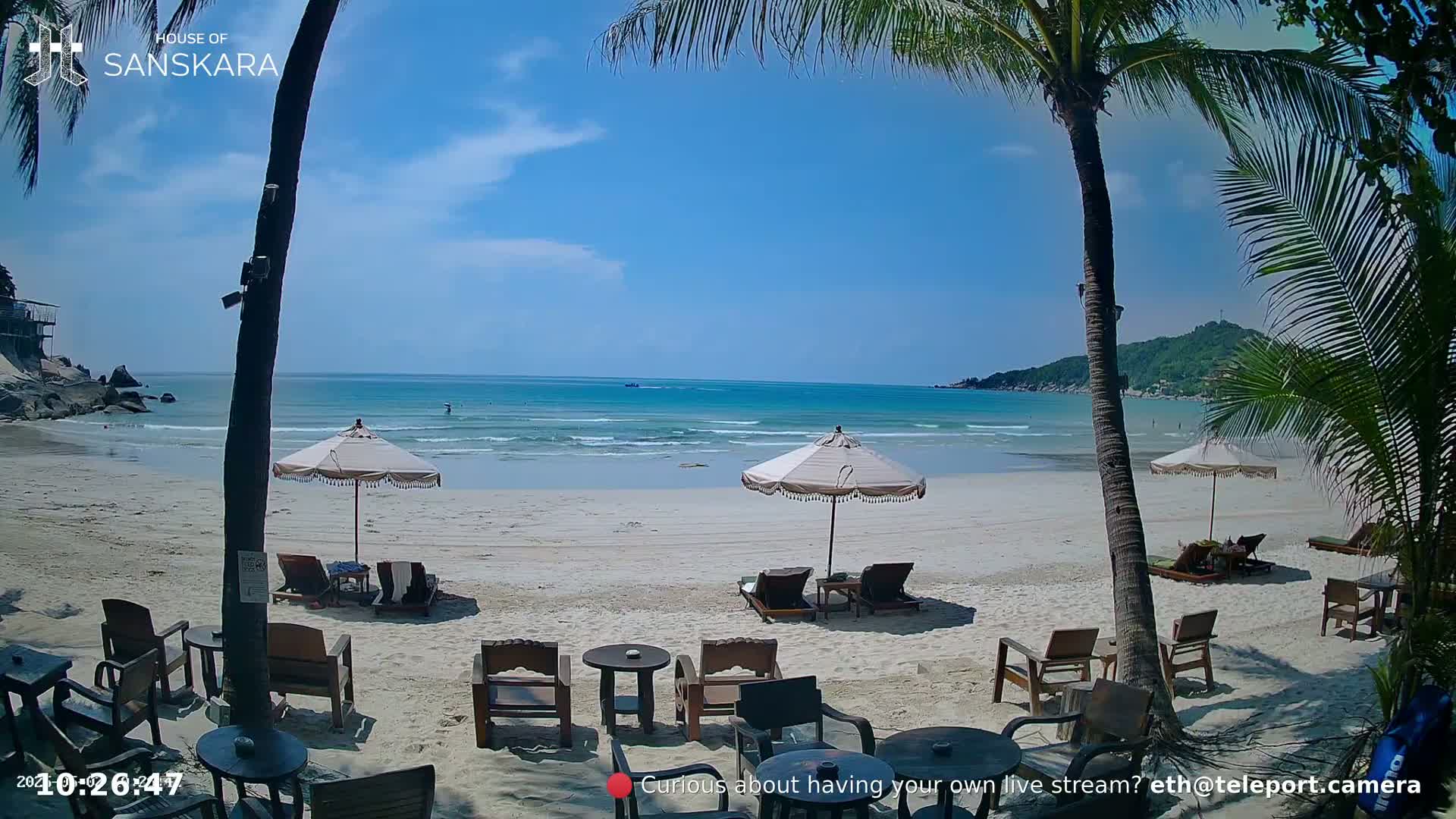 A sunny beach scene shows palm trees, beach umbrellas, lounge chairs, and small tables on a white sand beach next to a calm, light-blue ocean.
