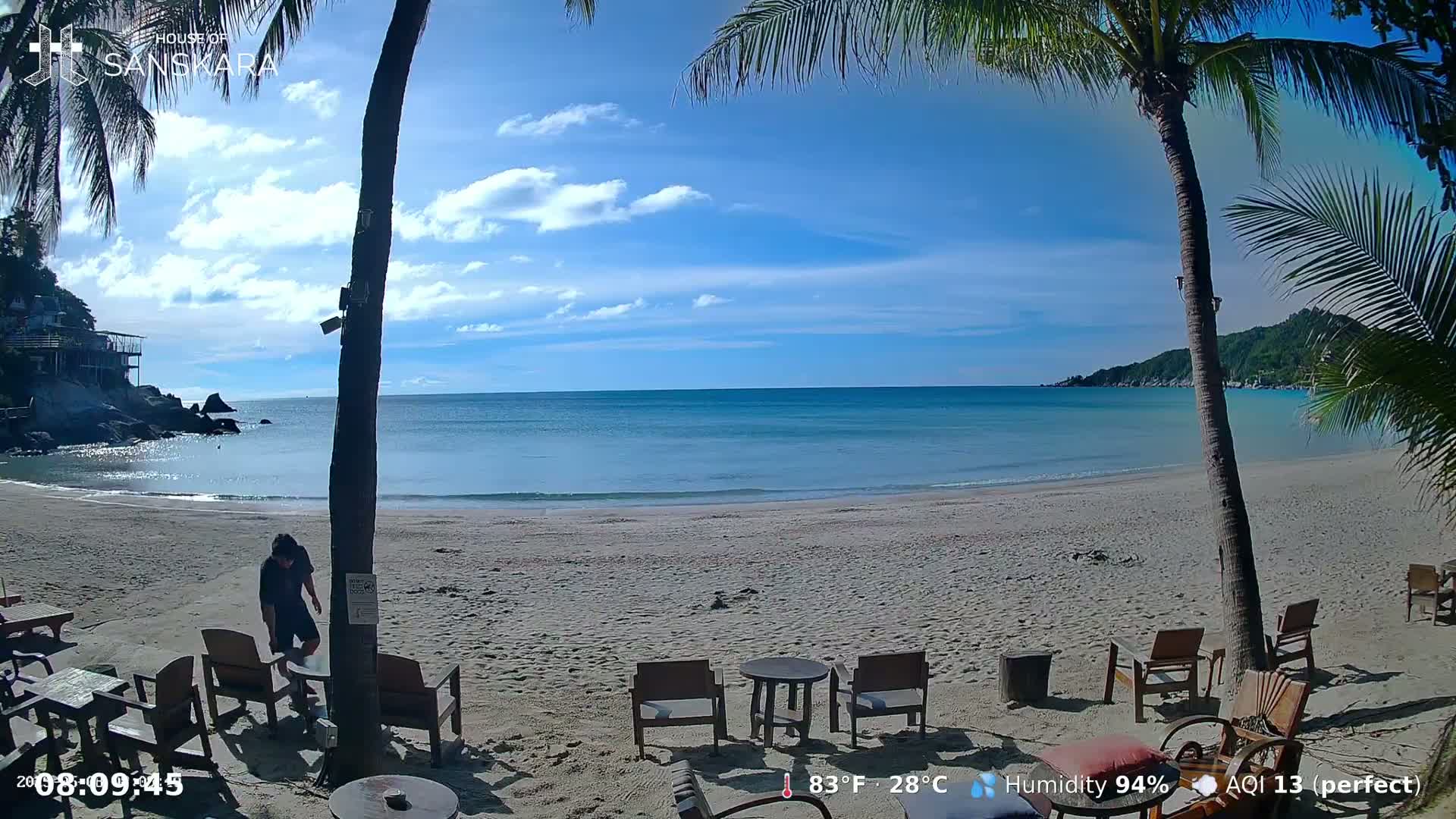 A person tends to a table on a sandy beach with palm trees under a mostly sunny sky and calm ocean.