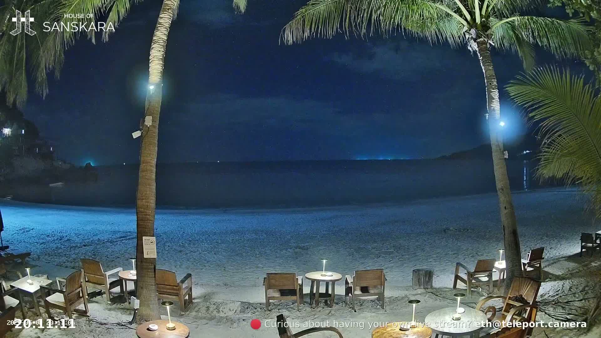 A nighttime beach scene with palm trees, empty tables and chairs, and a calm, dark ocean under a starry sky.