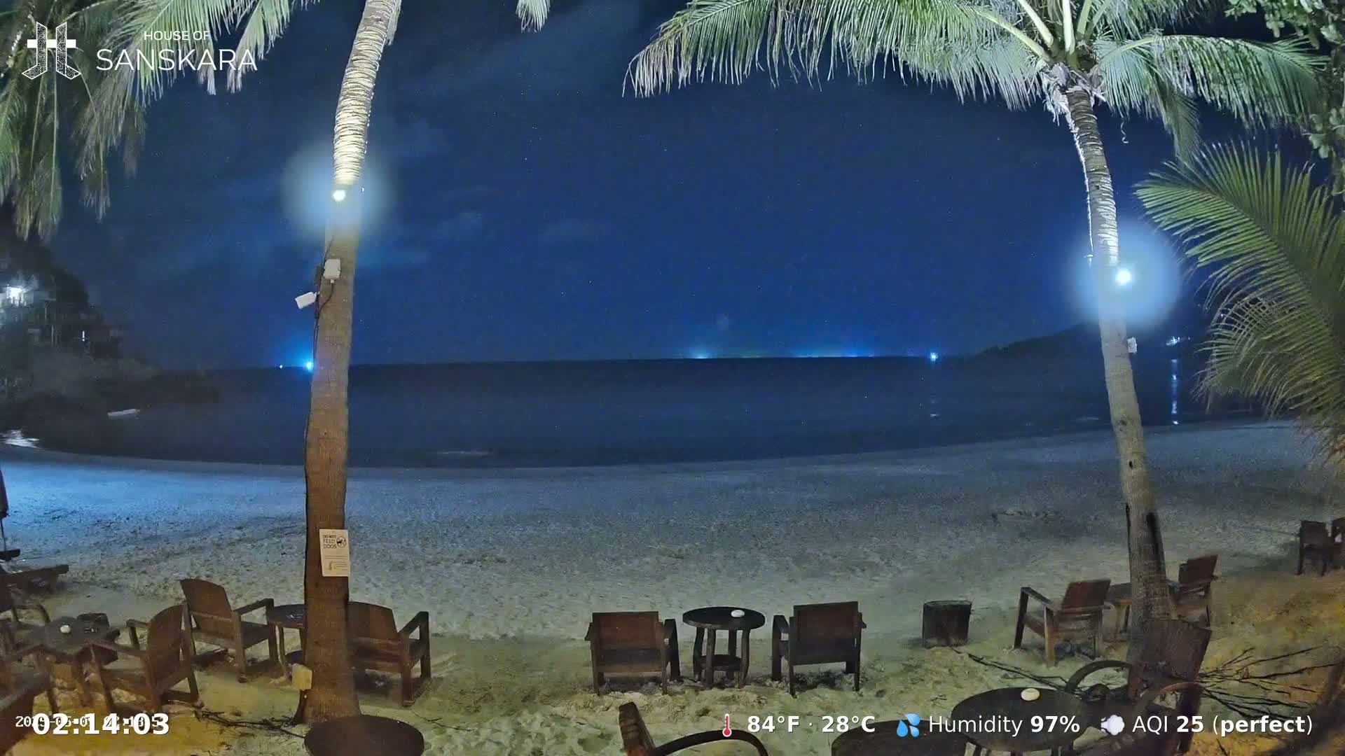 A nighttime beach scene shows a calm ocean under a starry sky, with palm trees, outdoor seating, and a sandy shore.