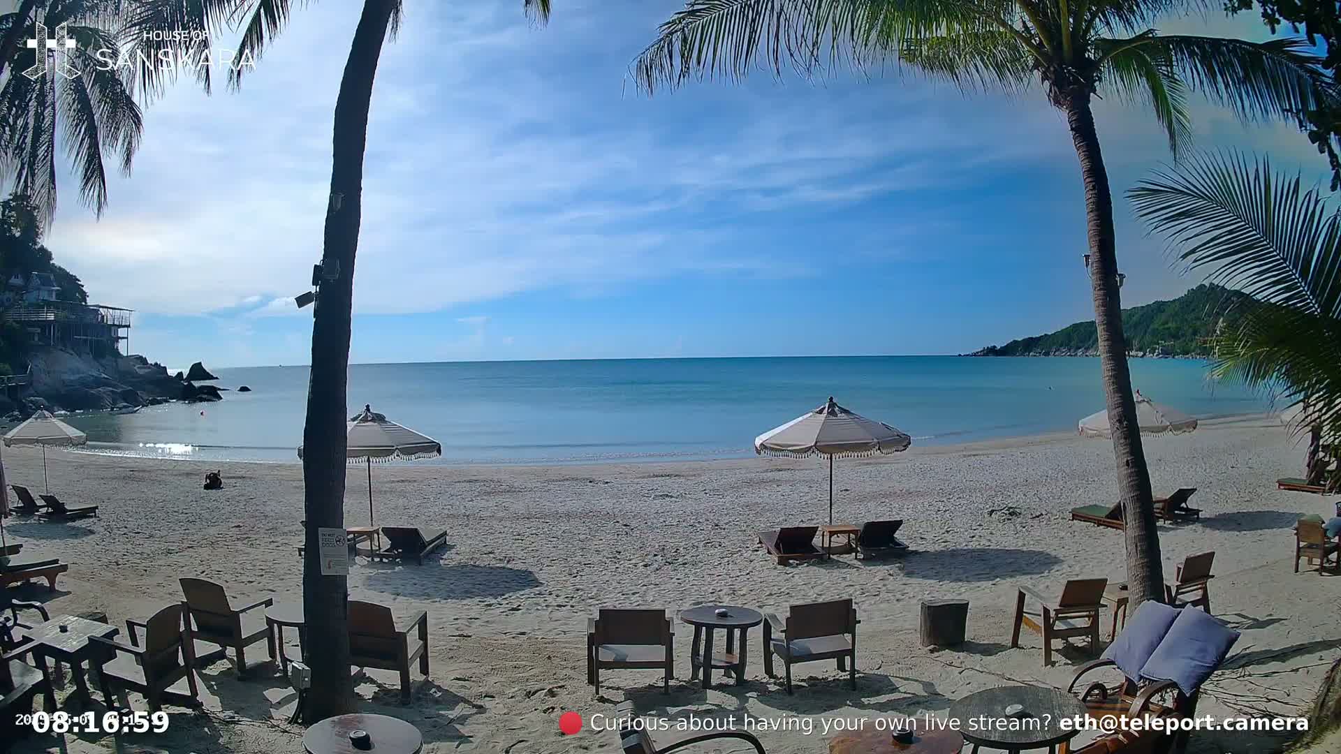 A sandy beach with palm trees, lounge chairs, and umbrellas under a clear blue sky.