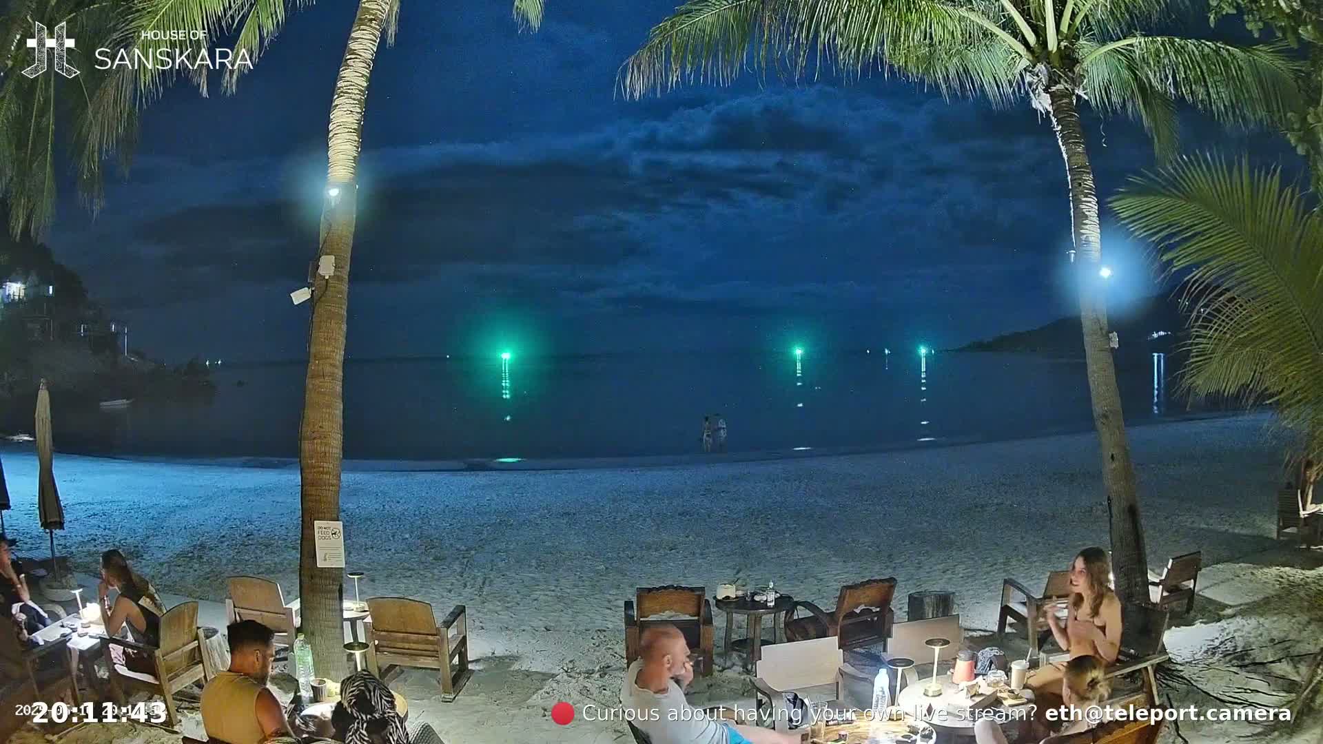 A nighttime beach scene shows several people sitting at outdoor tables under palm trees near a calm ocean with lights visible in the water.
