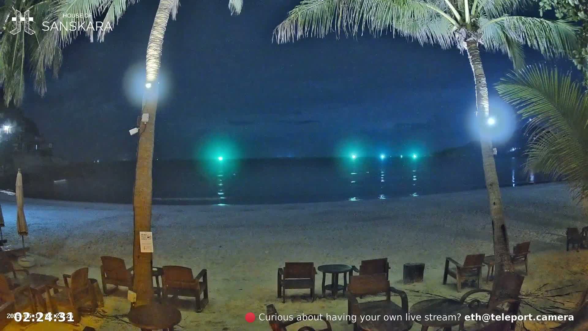 Empty wooden chairs sit on a sandy beach at night under palm trees, with calm ocean water reflecting several distant green lights.