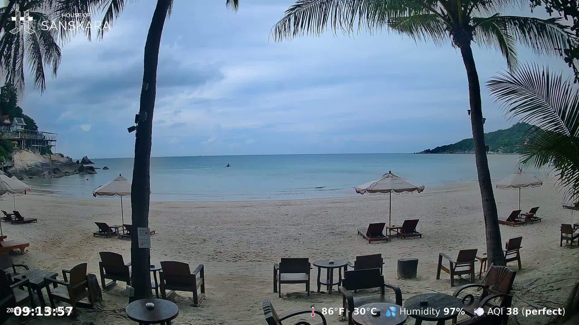 A sandy beach with palm trees, lounge chairs under umbrellas, and outdoor seating overlooks a calm ocean under an overcast sky.