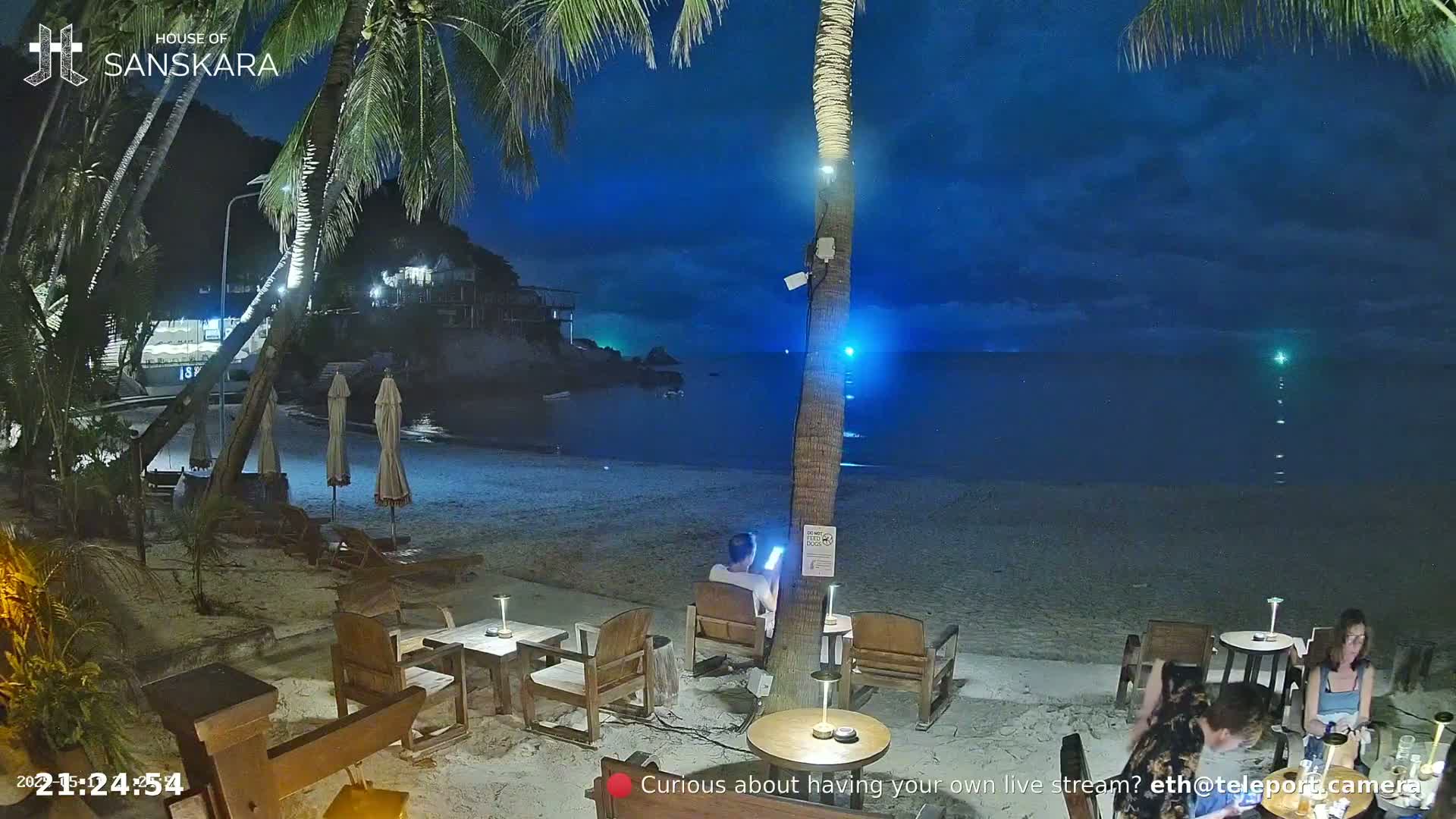 A nighttime beach scene shows a sandy shore with palm trees, outdoor wooden furniture, and several people sitting at tables near the calm ocean under a dark blue sky.