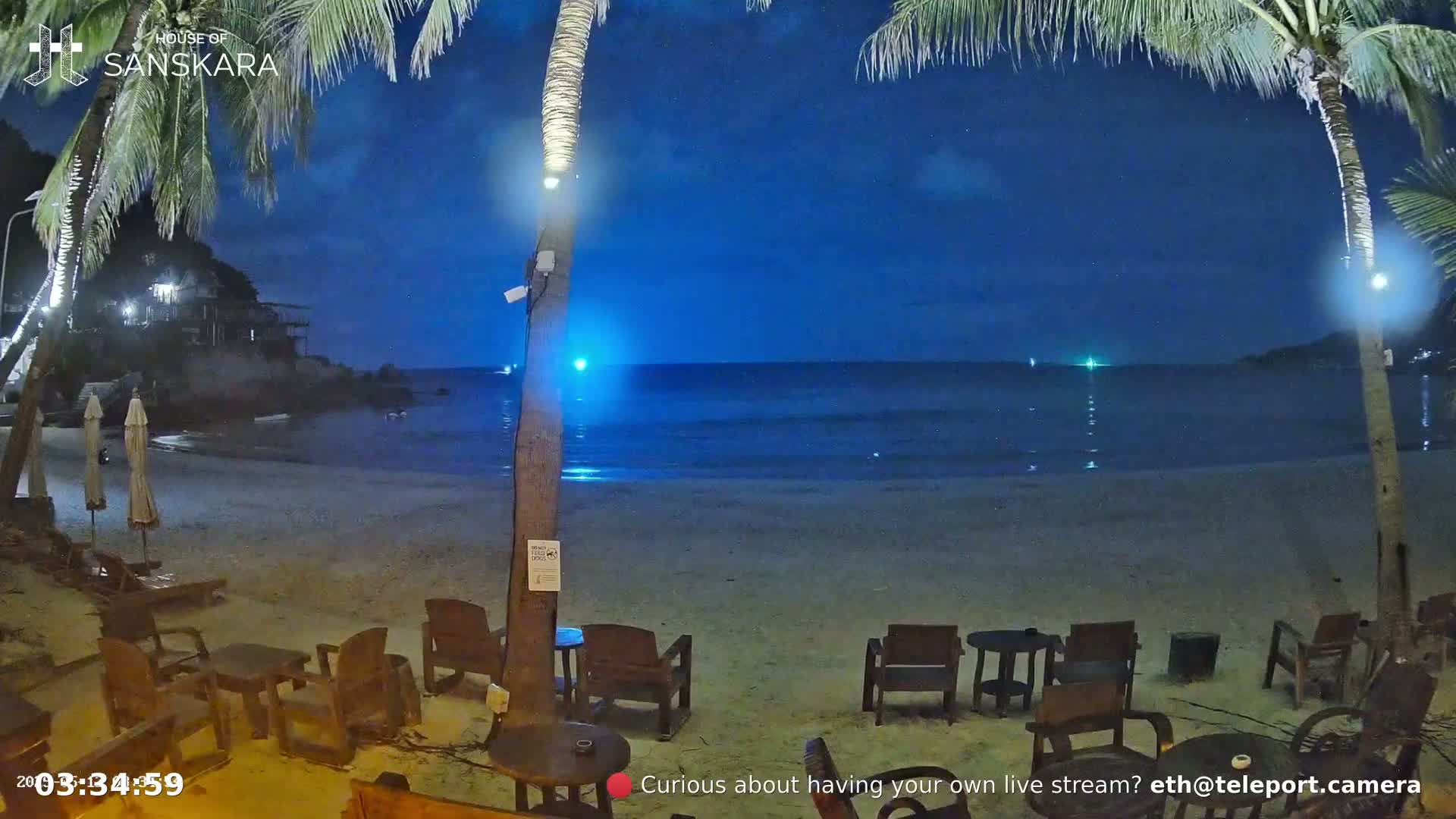 A moonlit beach at night, with palm trees, outdoor furniture, and a calm ocean.
