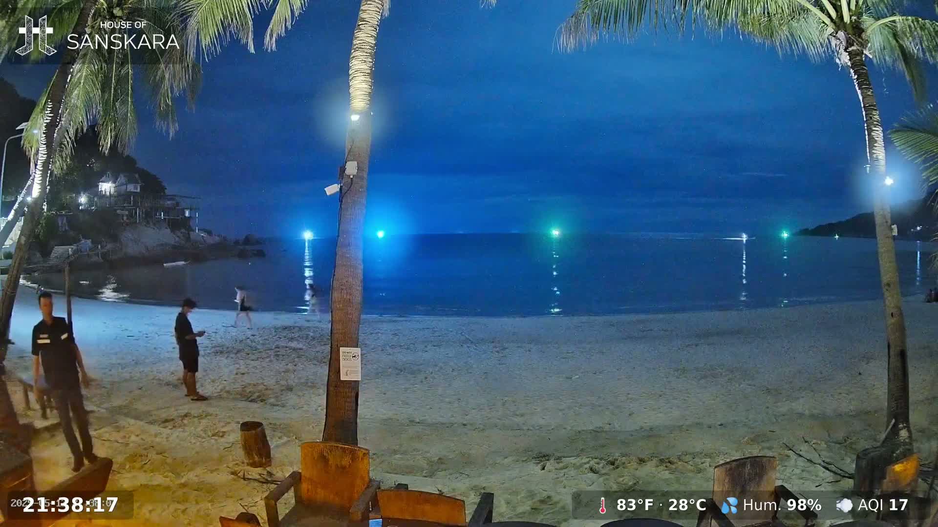 A nighttime beach scene under a dark blue sky shows a sandy beach, calm ocean with lights on the water, palm trees, and several people on the beach.
