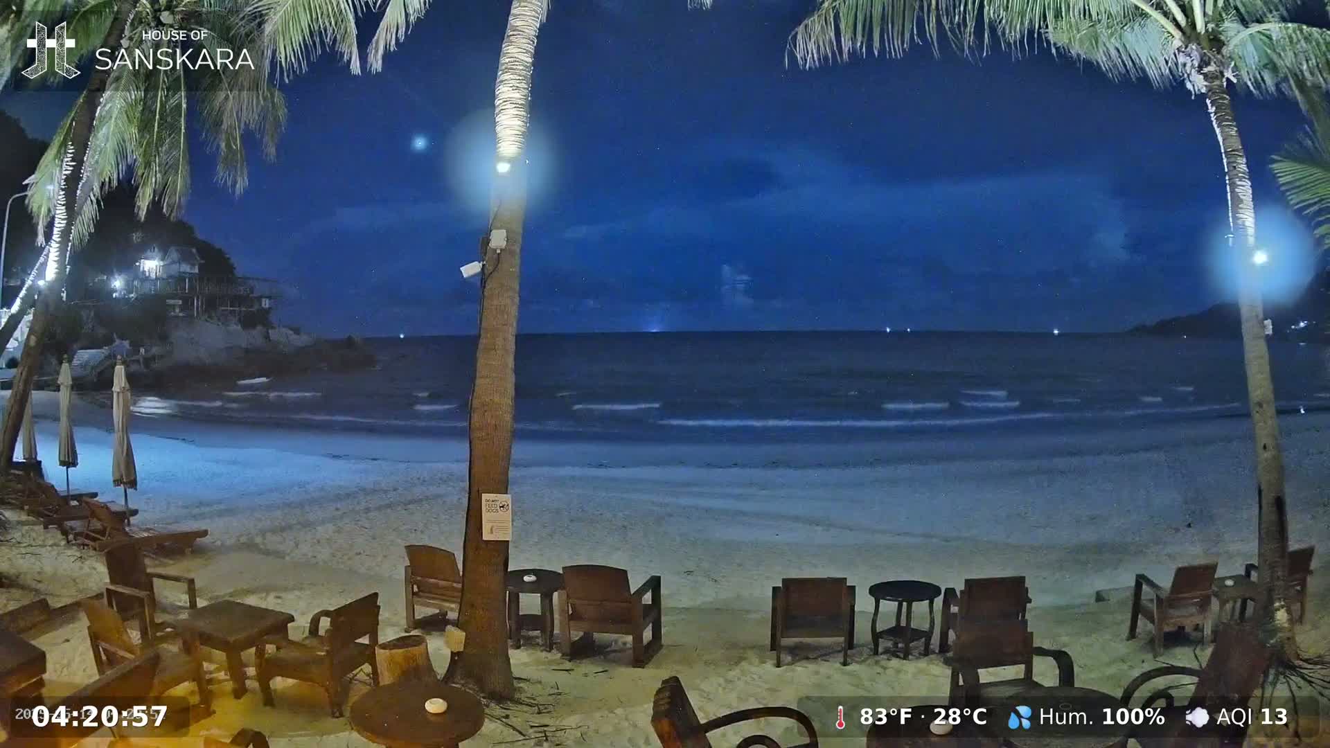A nighttime beach scene shows a sandy shore with gentle waves, palm trees, and outdoor seating under a dark, clear sky.