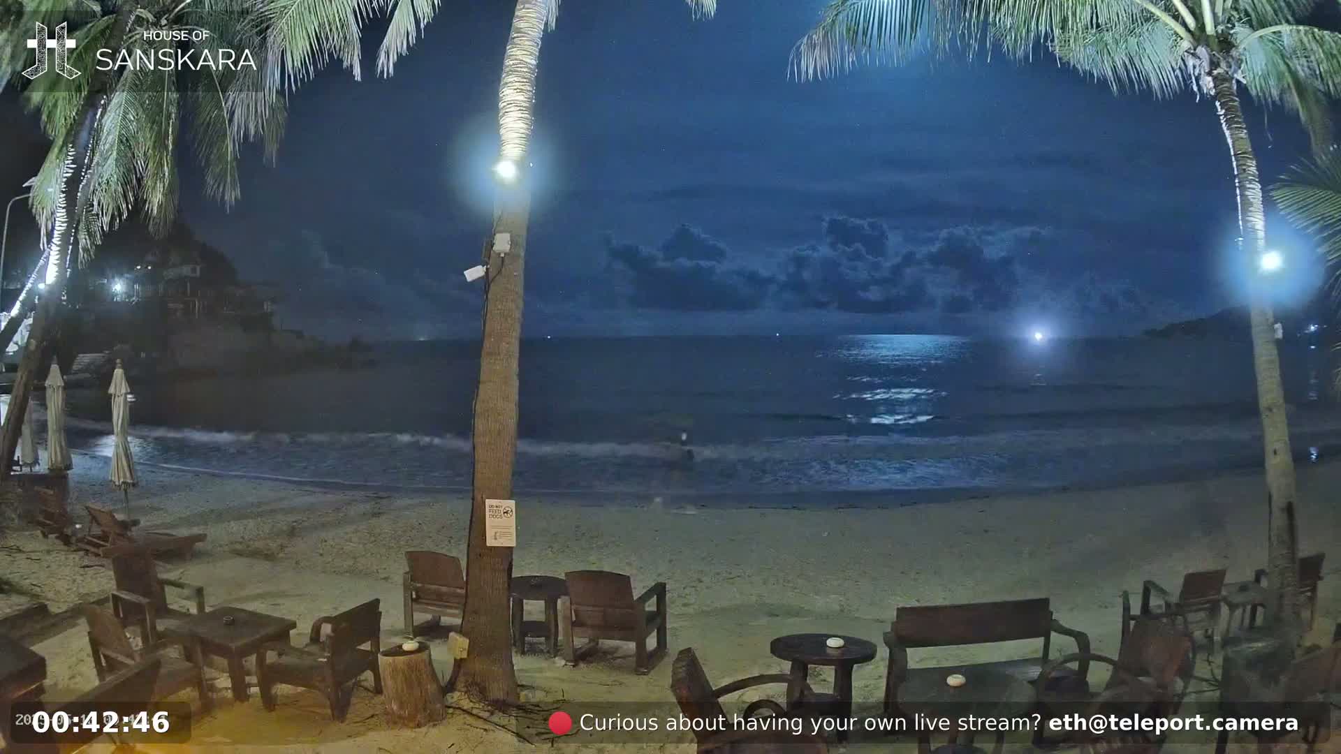 Under a partly cloudy night sky, outdoor beach furniture sits on a sandy beach next to a calm ocean under palm trees.